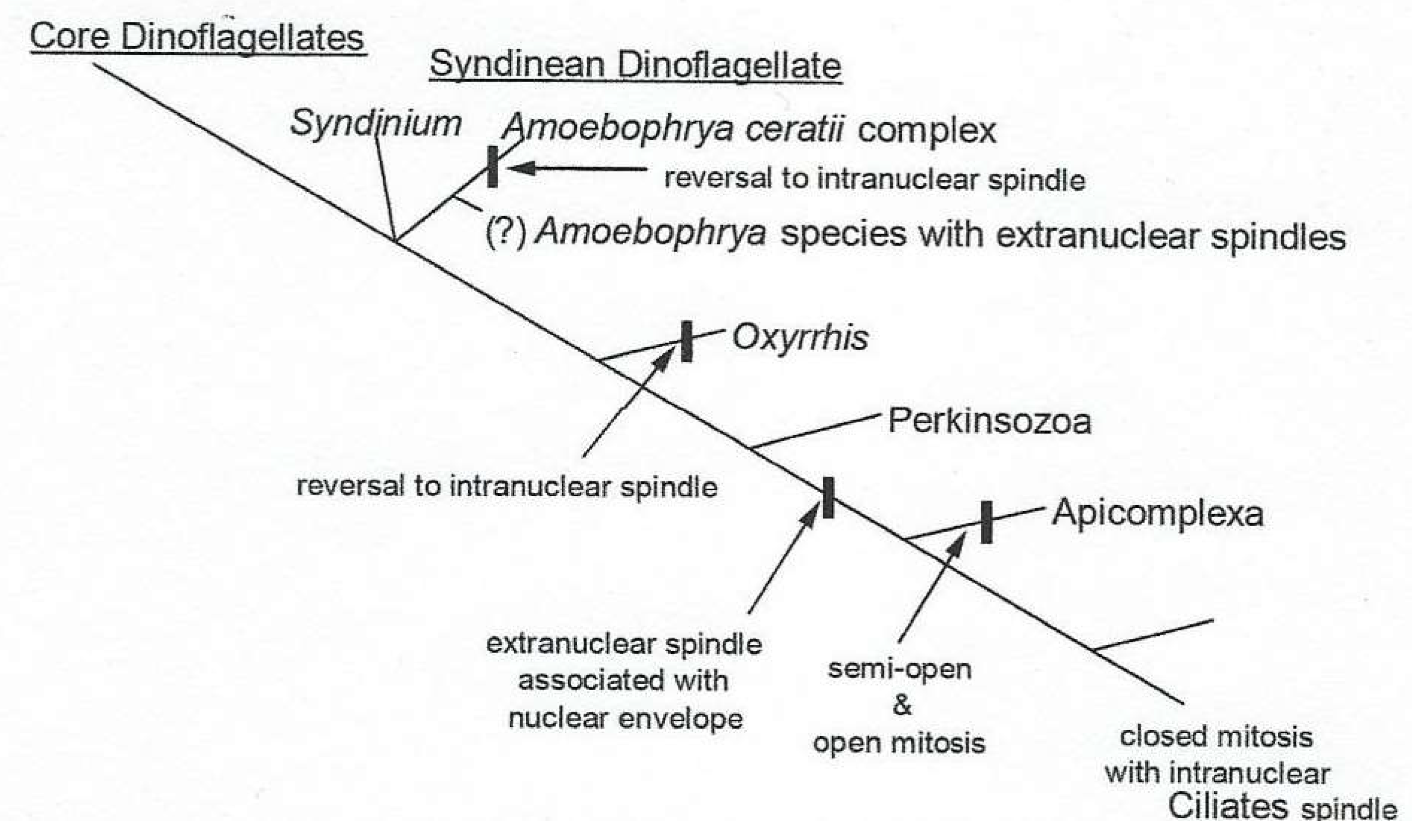 Preprints 153394 g019
