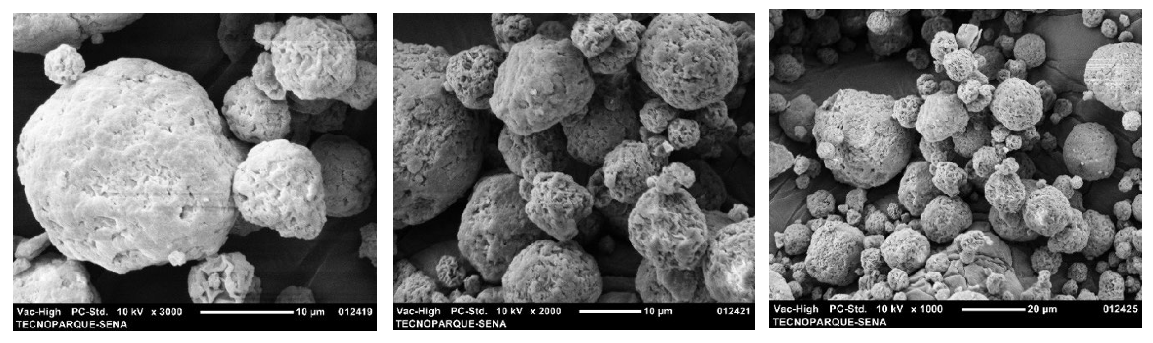 Preprints 178263 g004