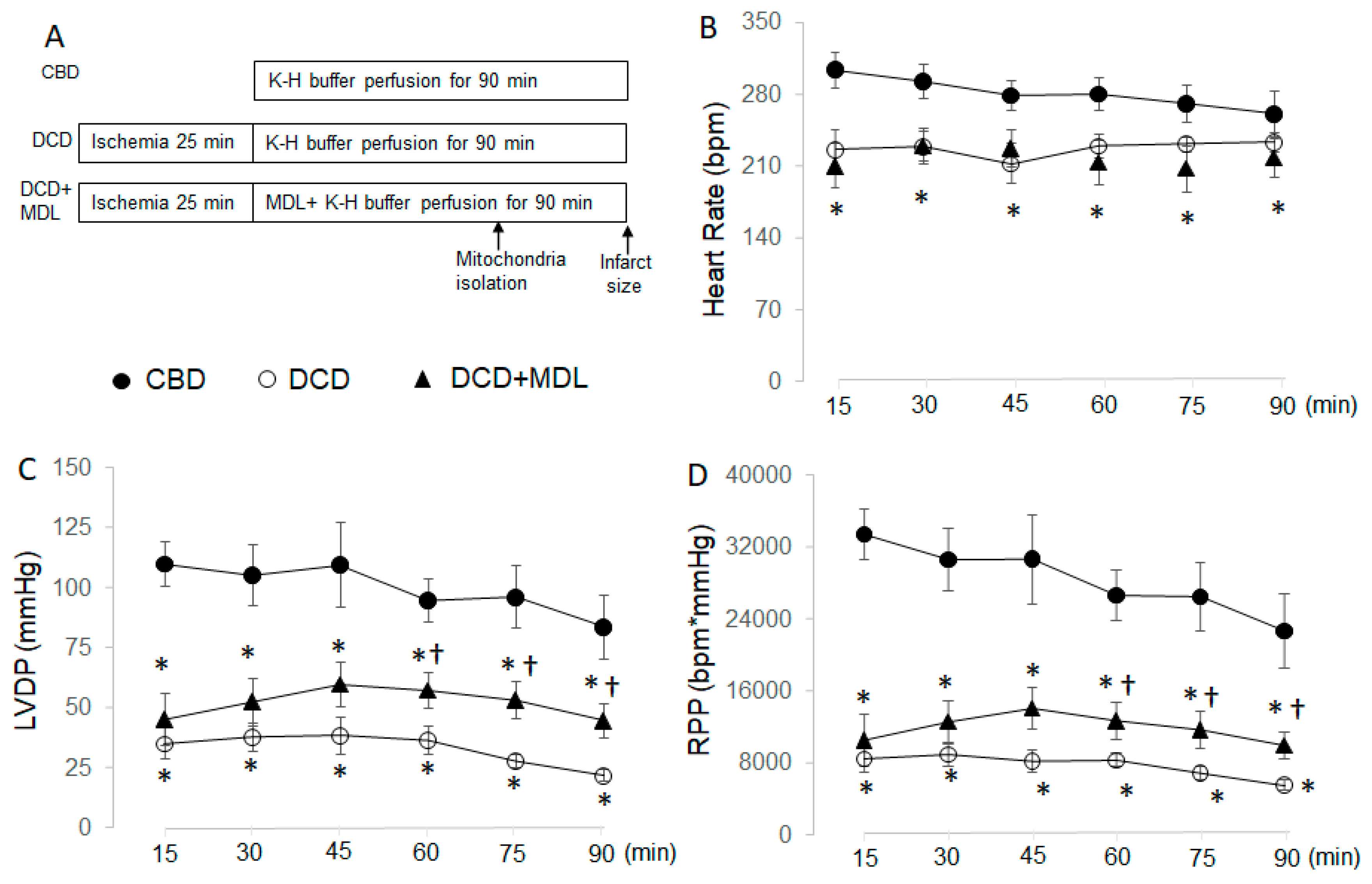 Preprints 154497 g001