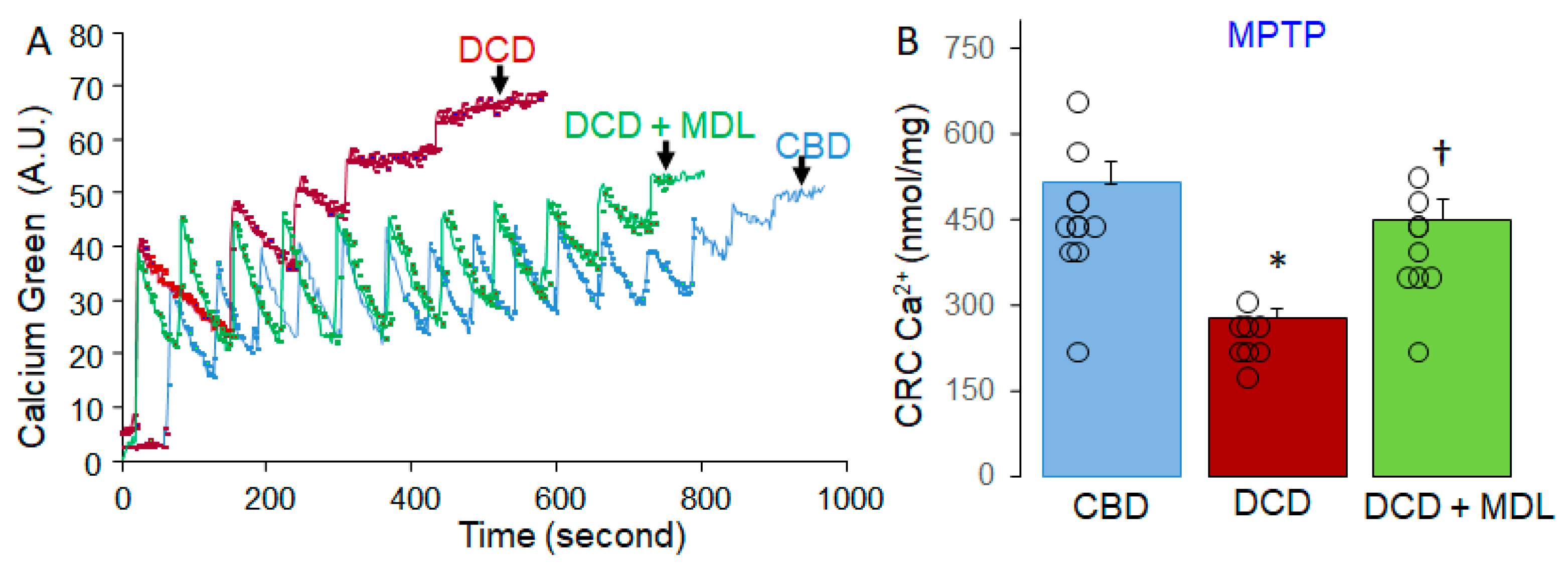 Preprints 154497 g003