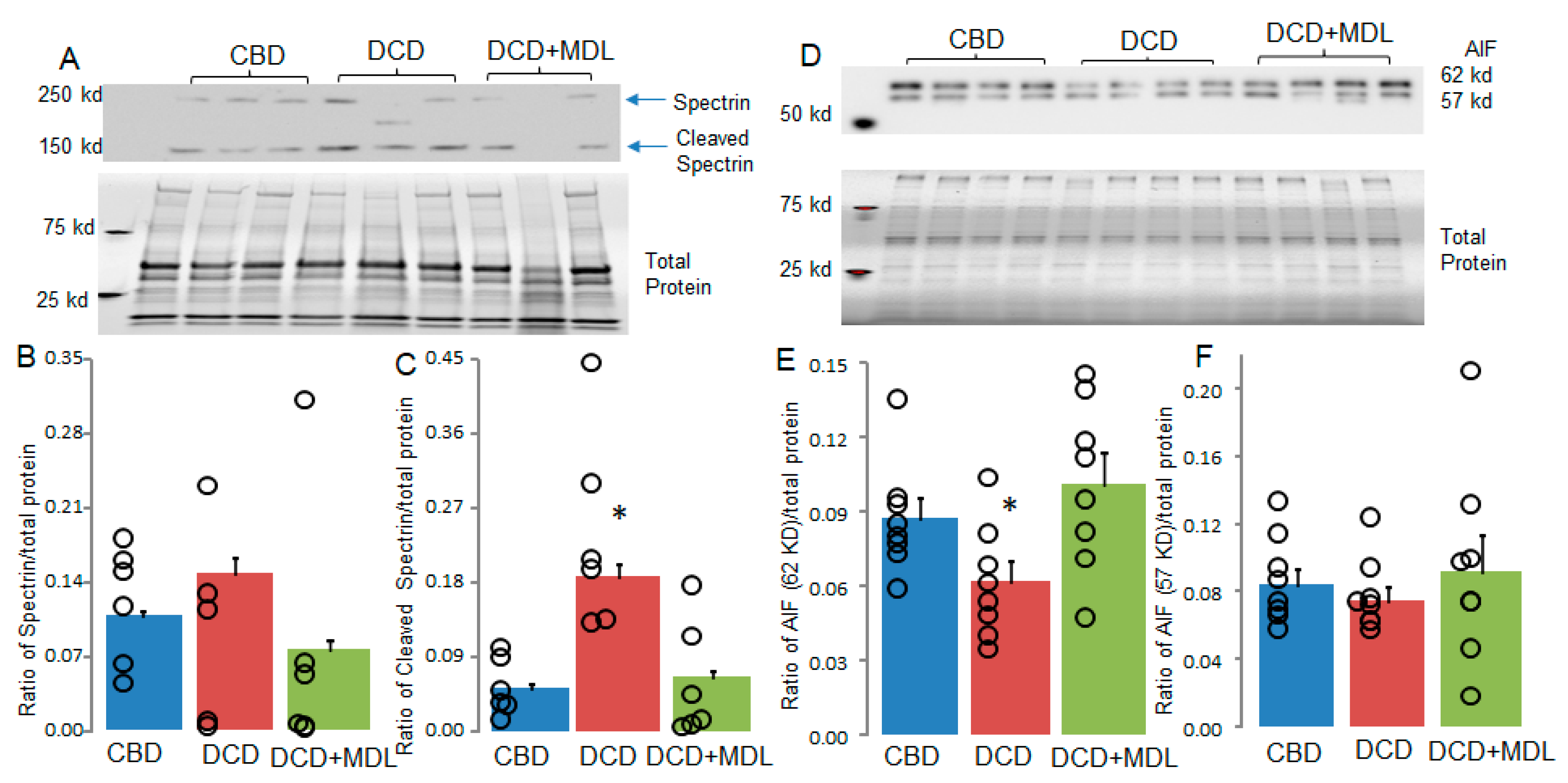 Preprints 154497 g004