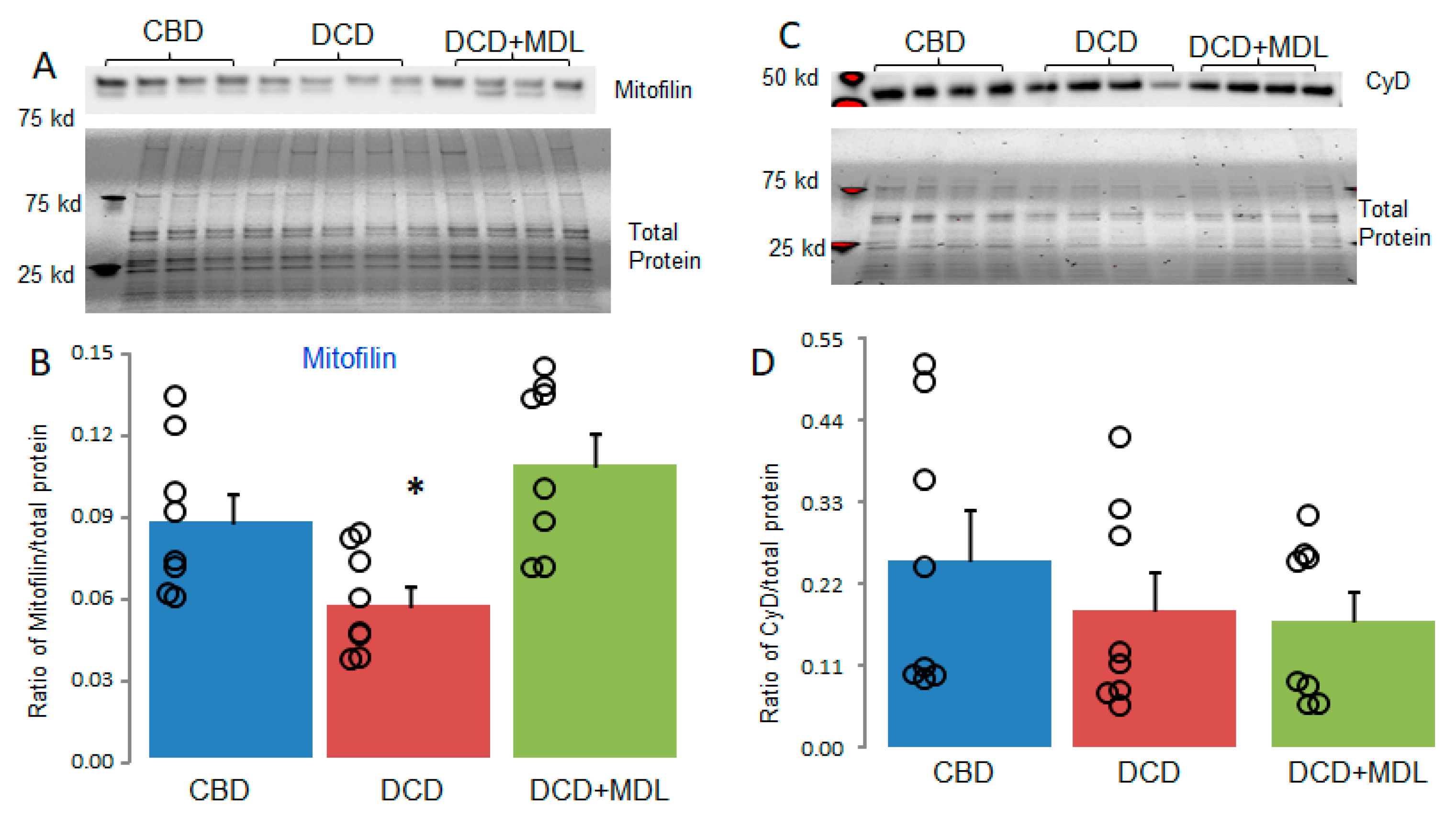 Preprints 154497 g005