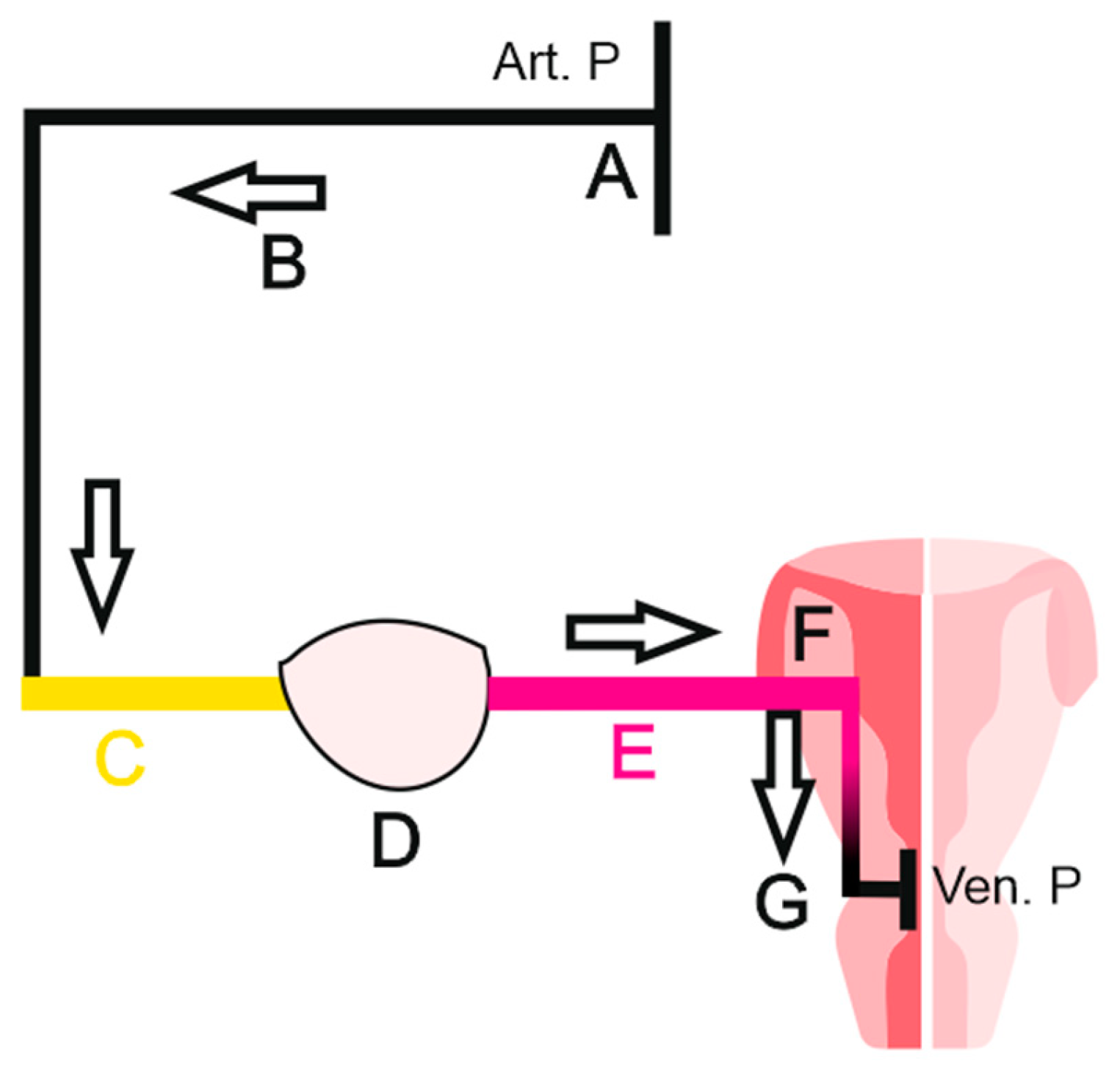 Preprints 146226 g003