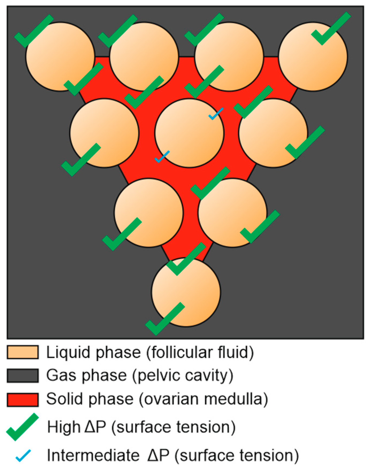 Preprints 146226 g006