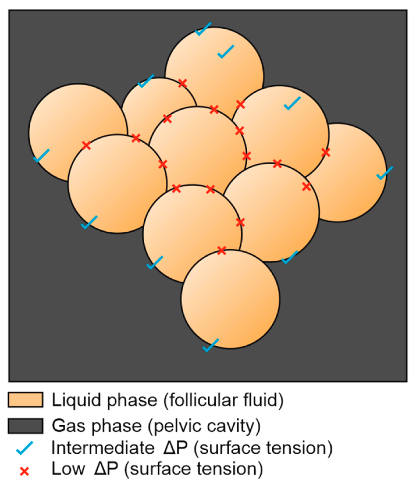 Preprints 146226 g007