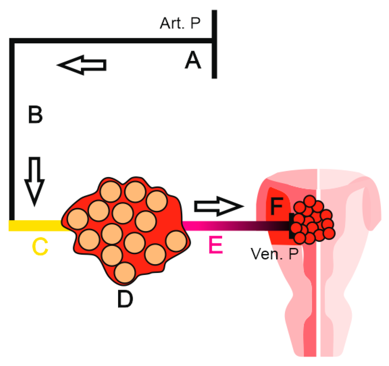 Preprints 146226 g008