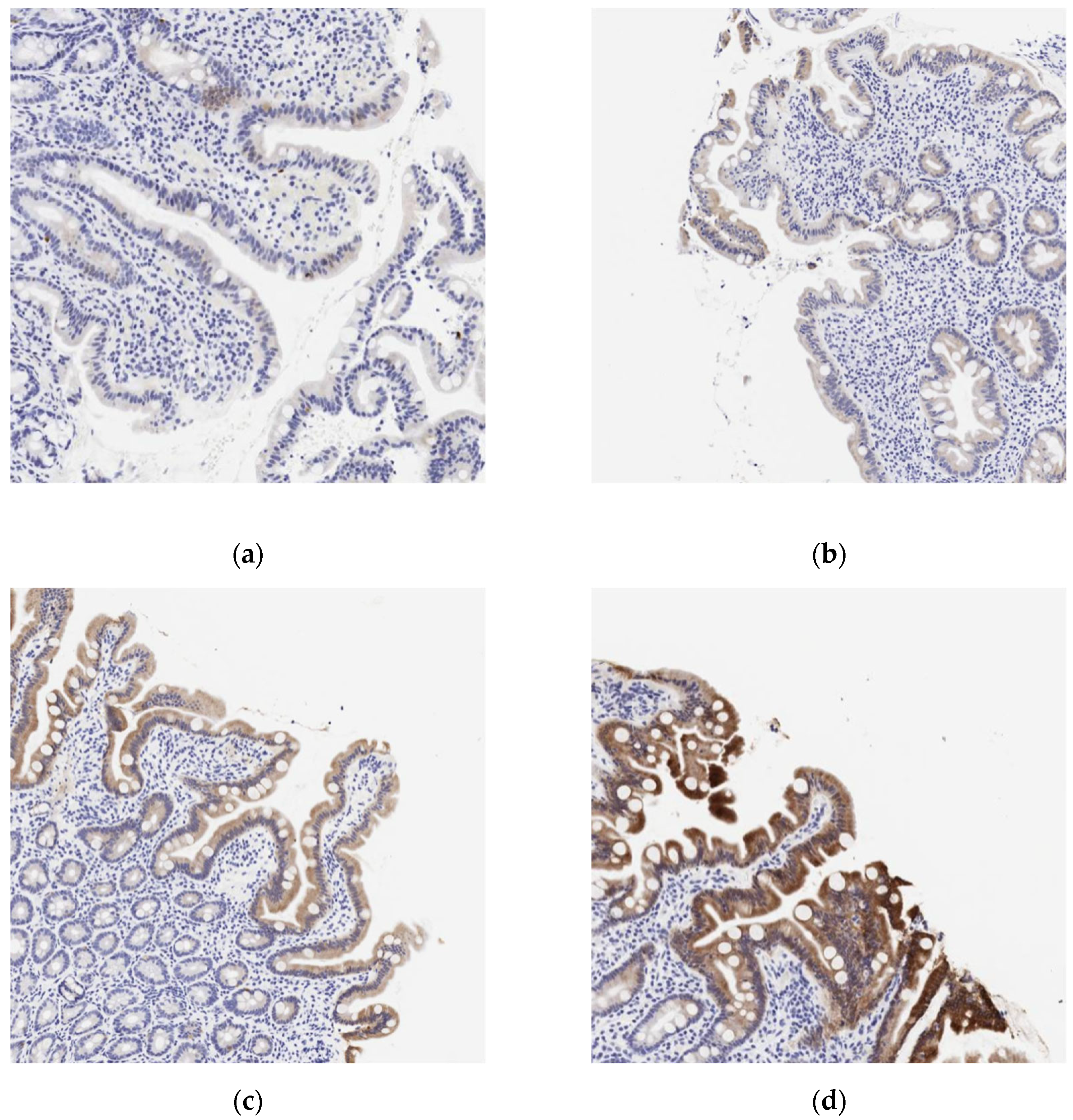 Preprints 207682 g001