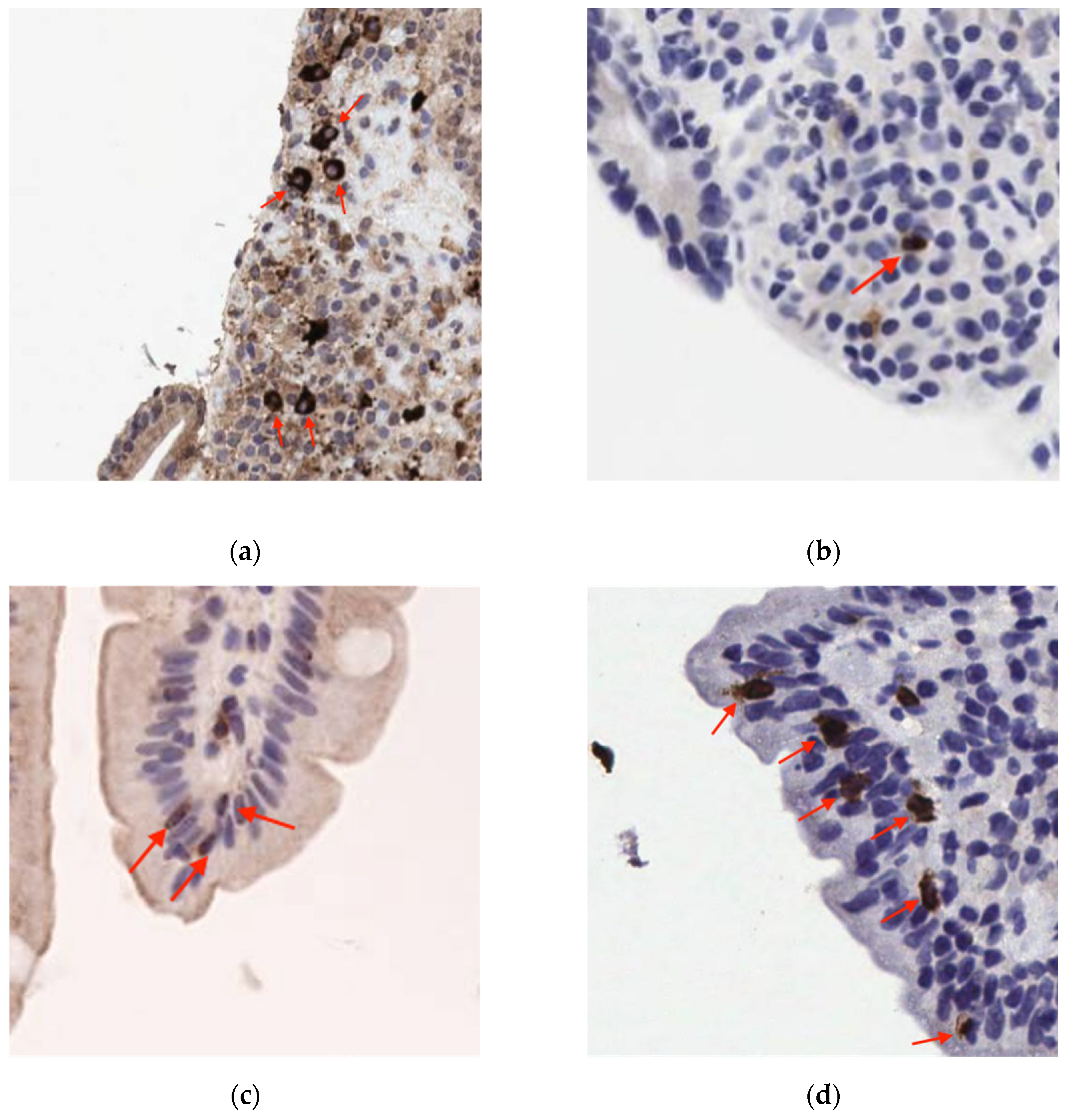 Preprints 207682 g002