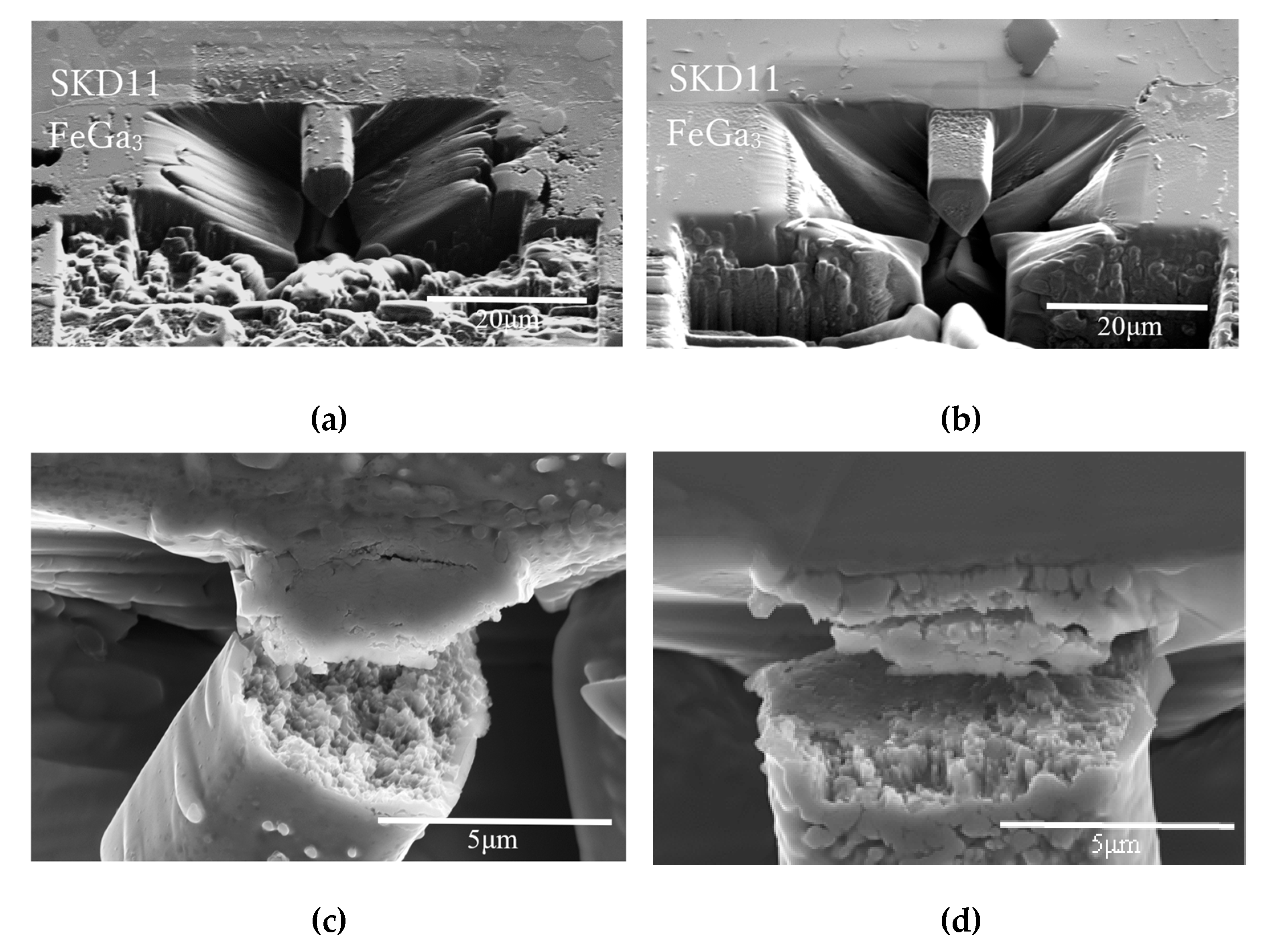 Preprints 173944 g008