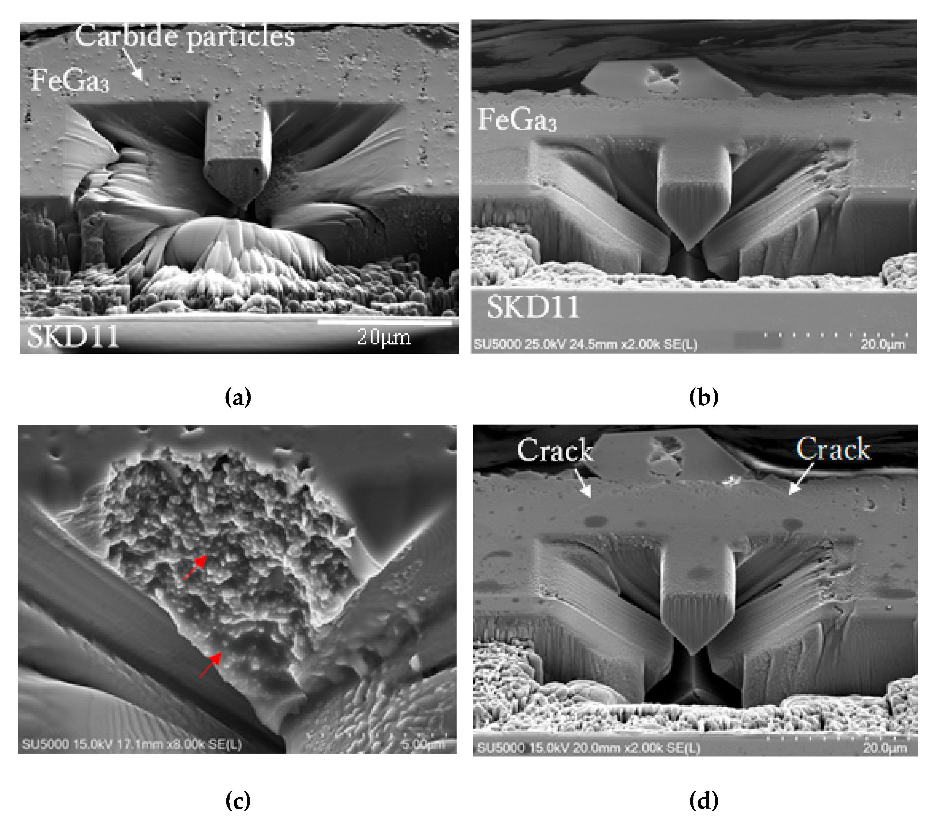 Preprints 173944 g009