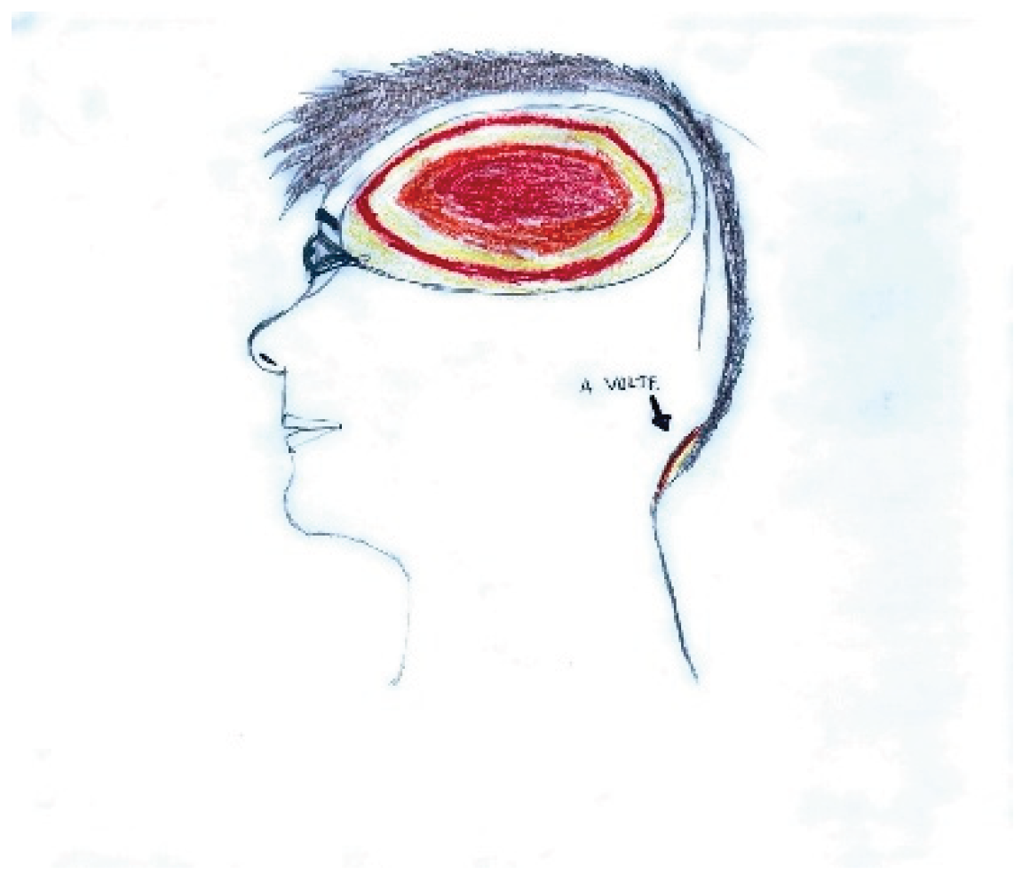 Preprints 160176 g001