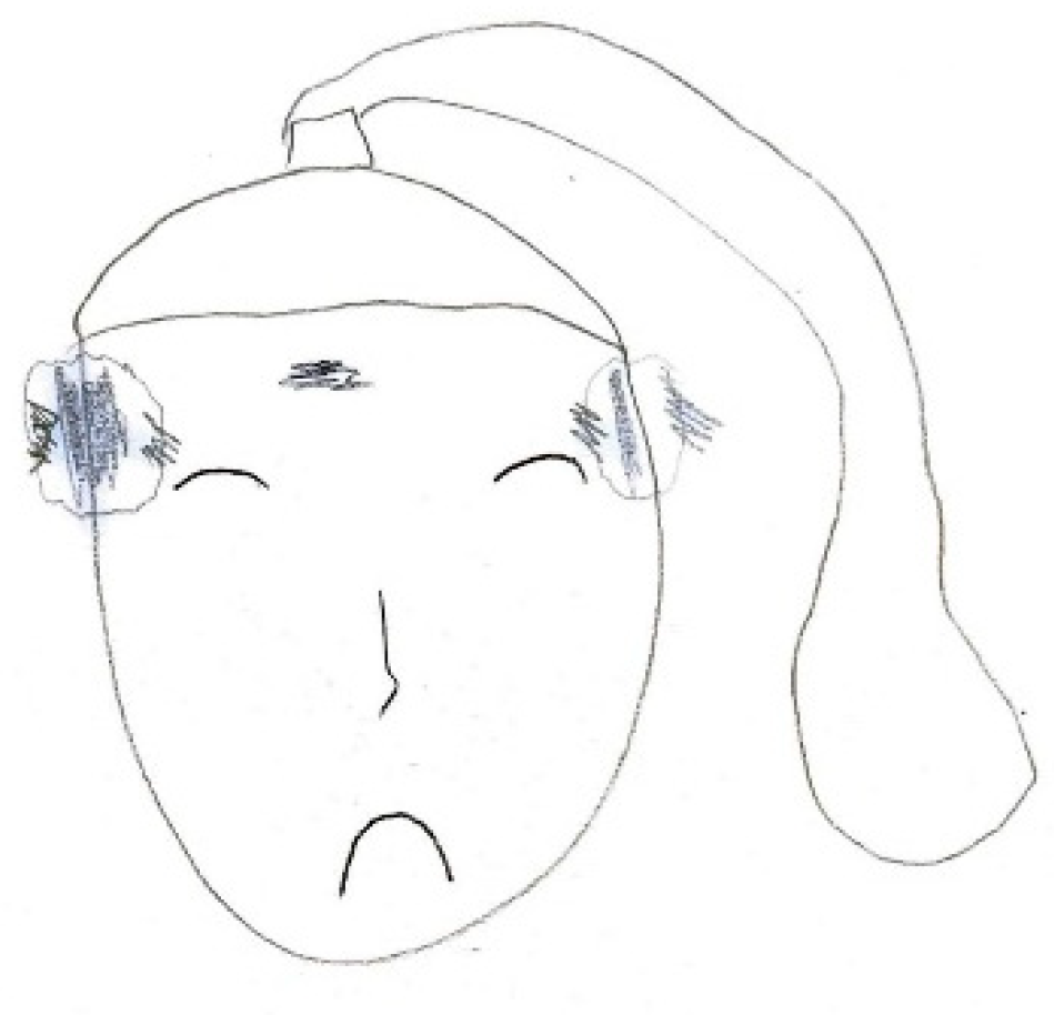 Preprints 160176 g004