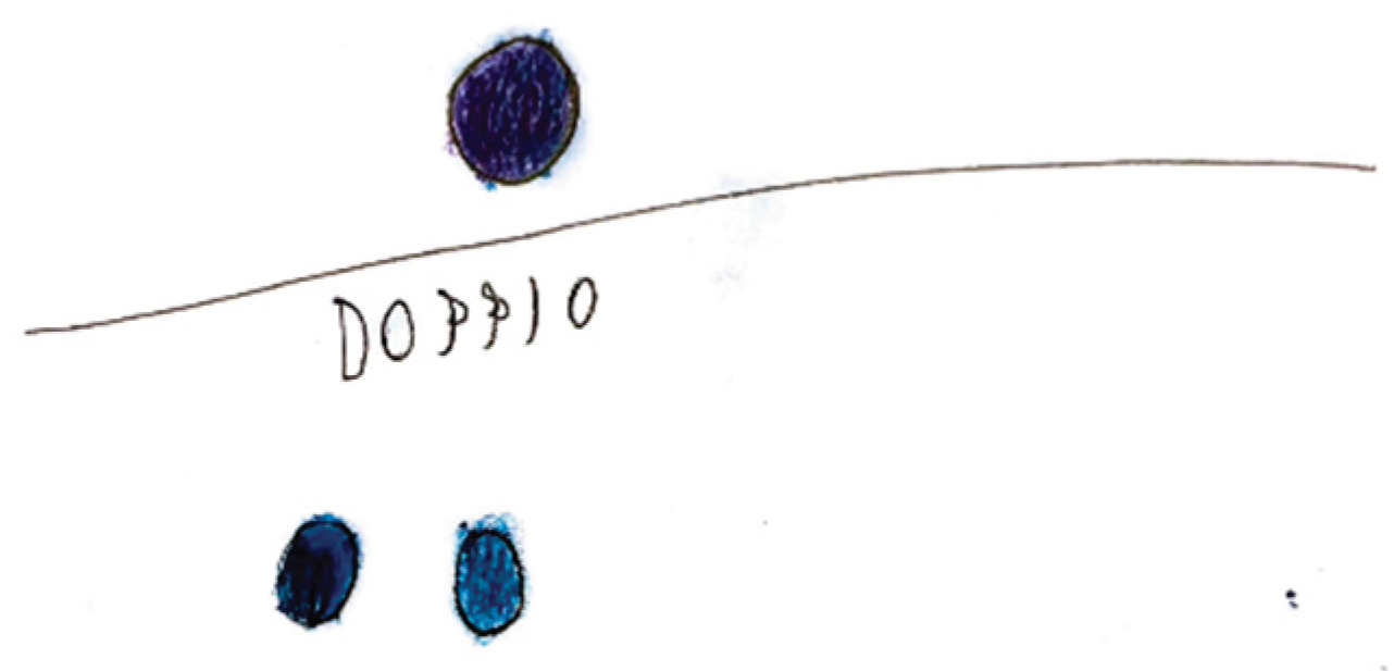 Preprints 160176 g019