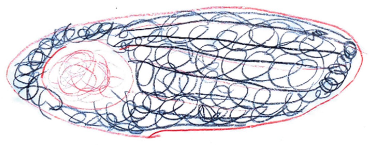 Preprints 160176 g023