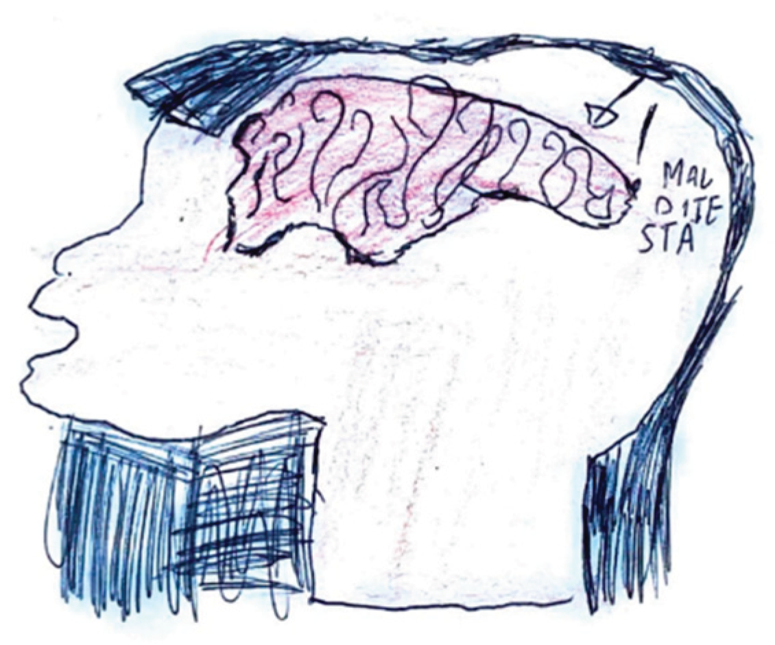 Preprints 160176 g024