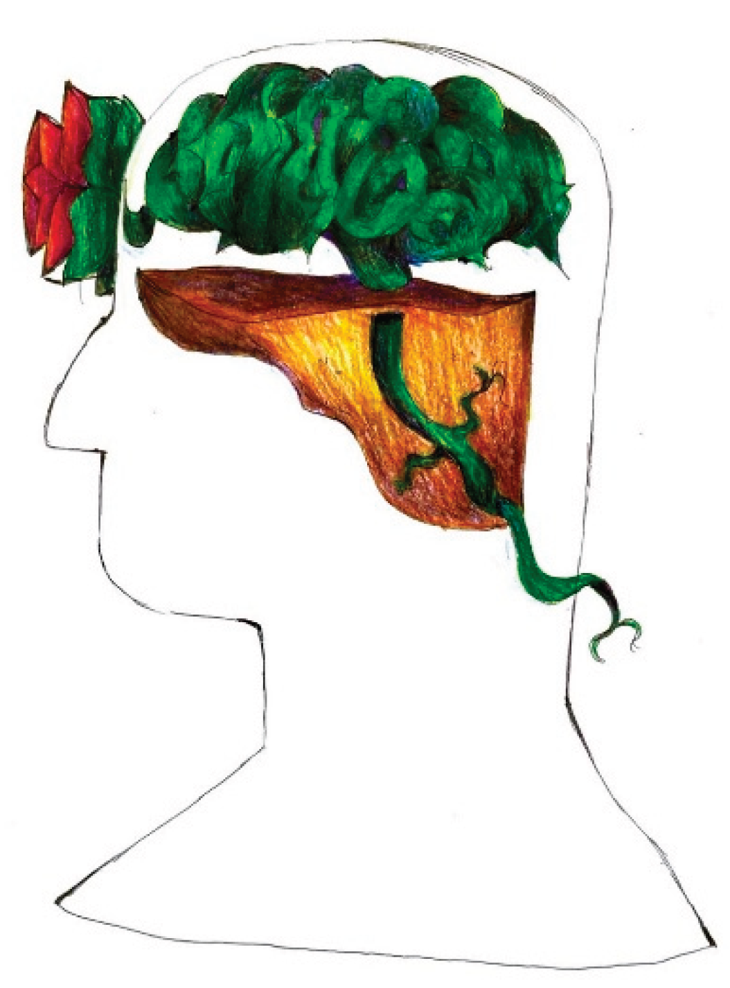 Preprints 160176 g027