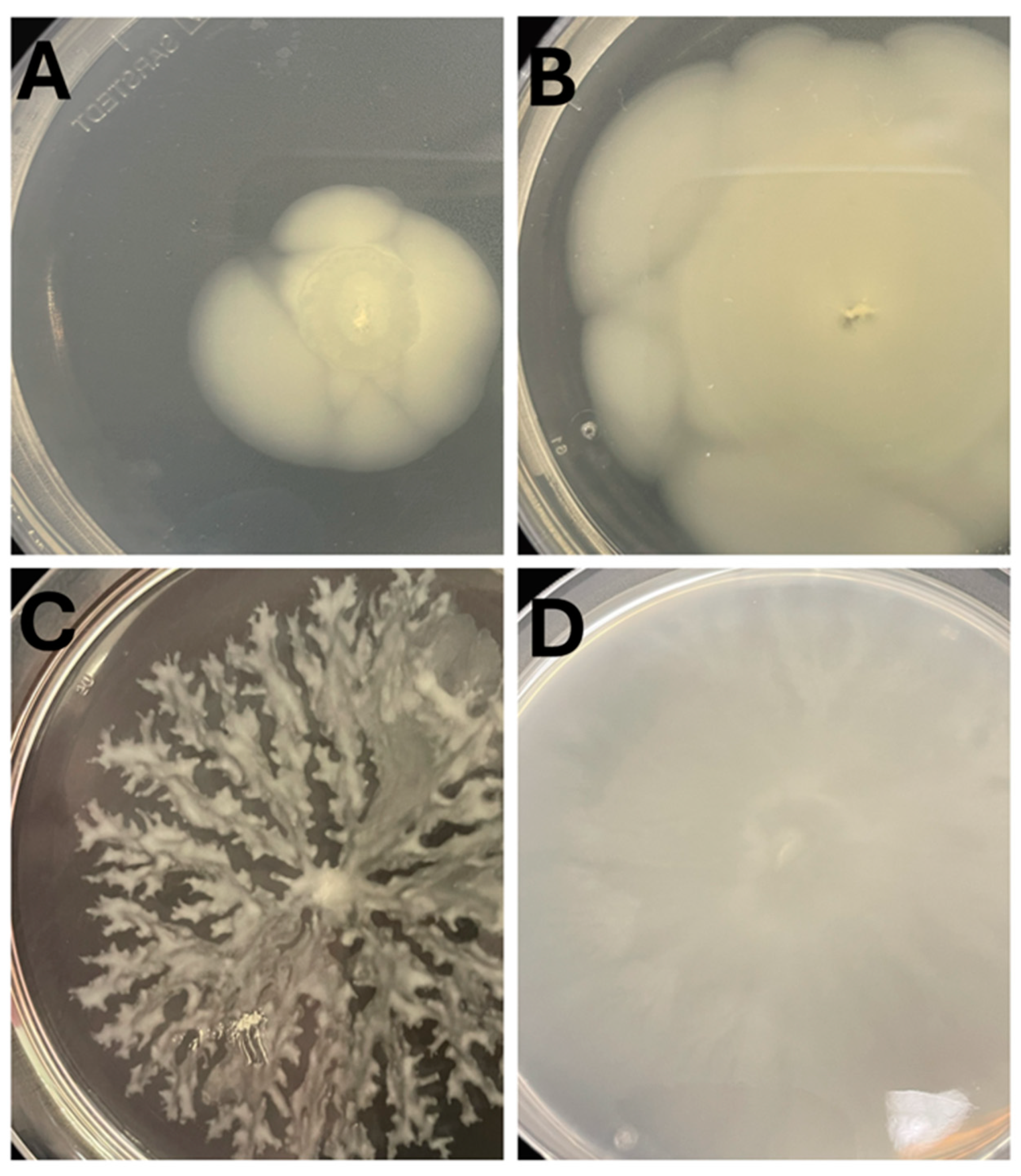 Preprints 193229 g005