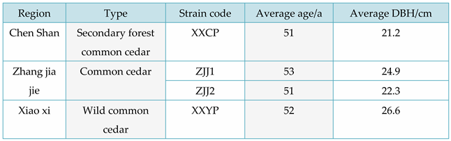Preprints 93340 i010