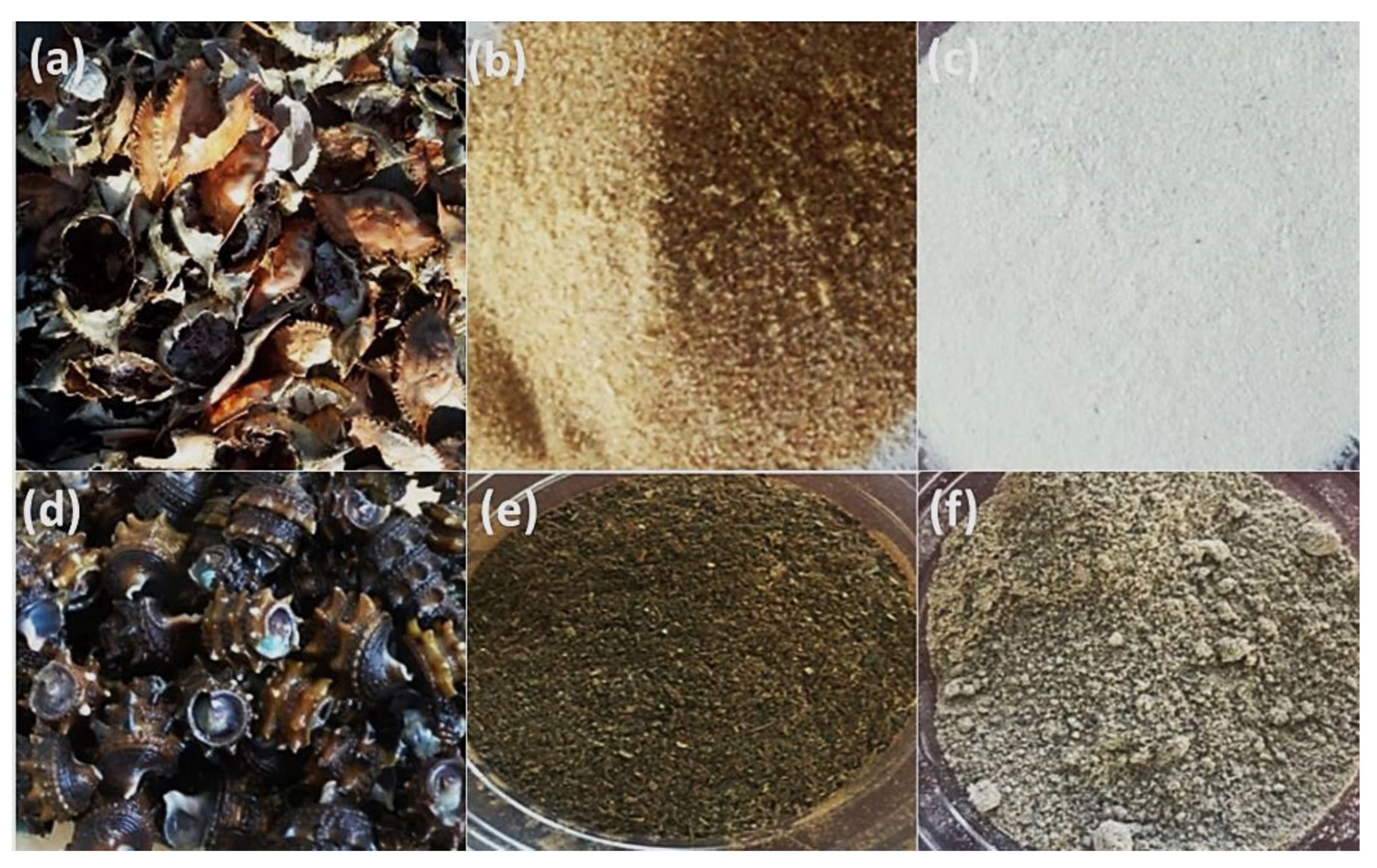 Shell Fish Waste Sustainable Bioplastic Development from Shellfish Waste of Crab ...