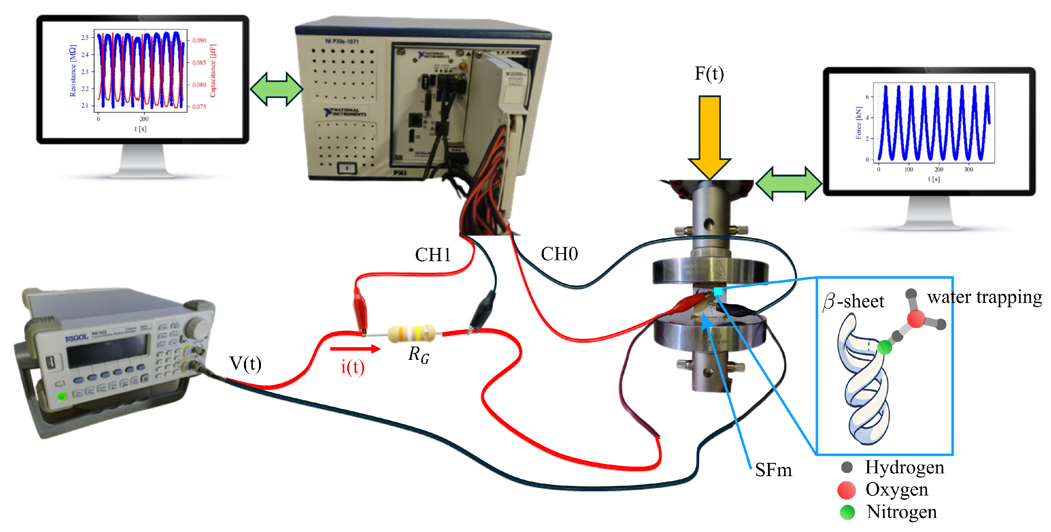 Preprints 122130 g002