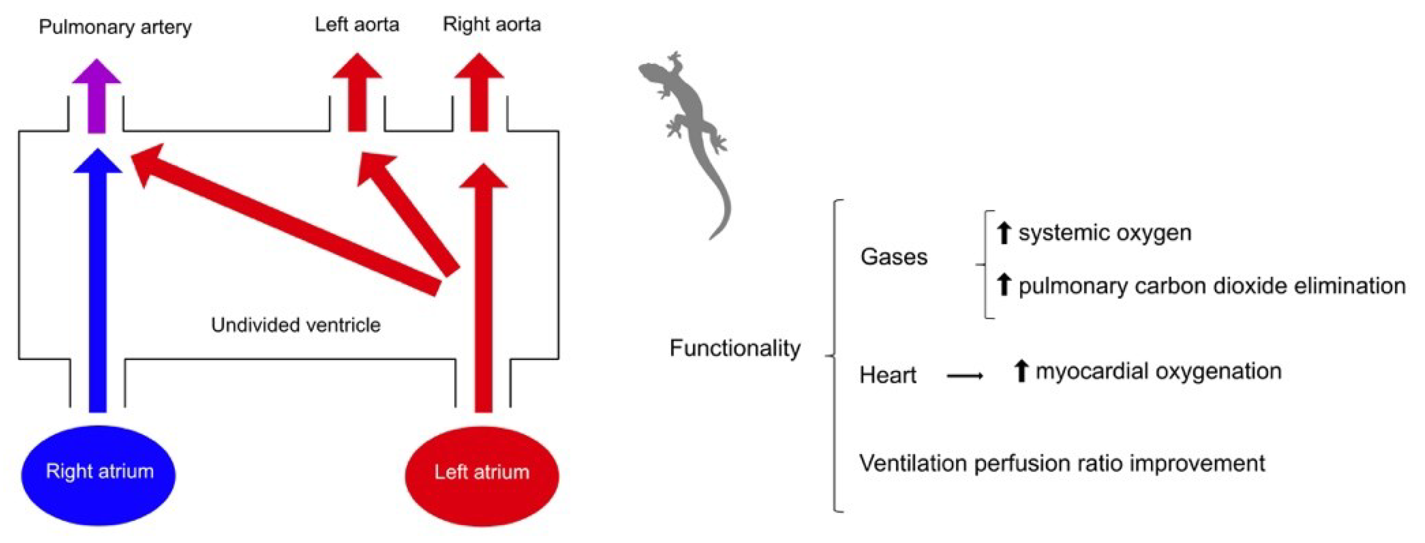Preprints 96625 g002