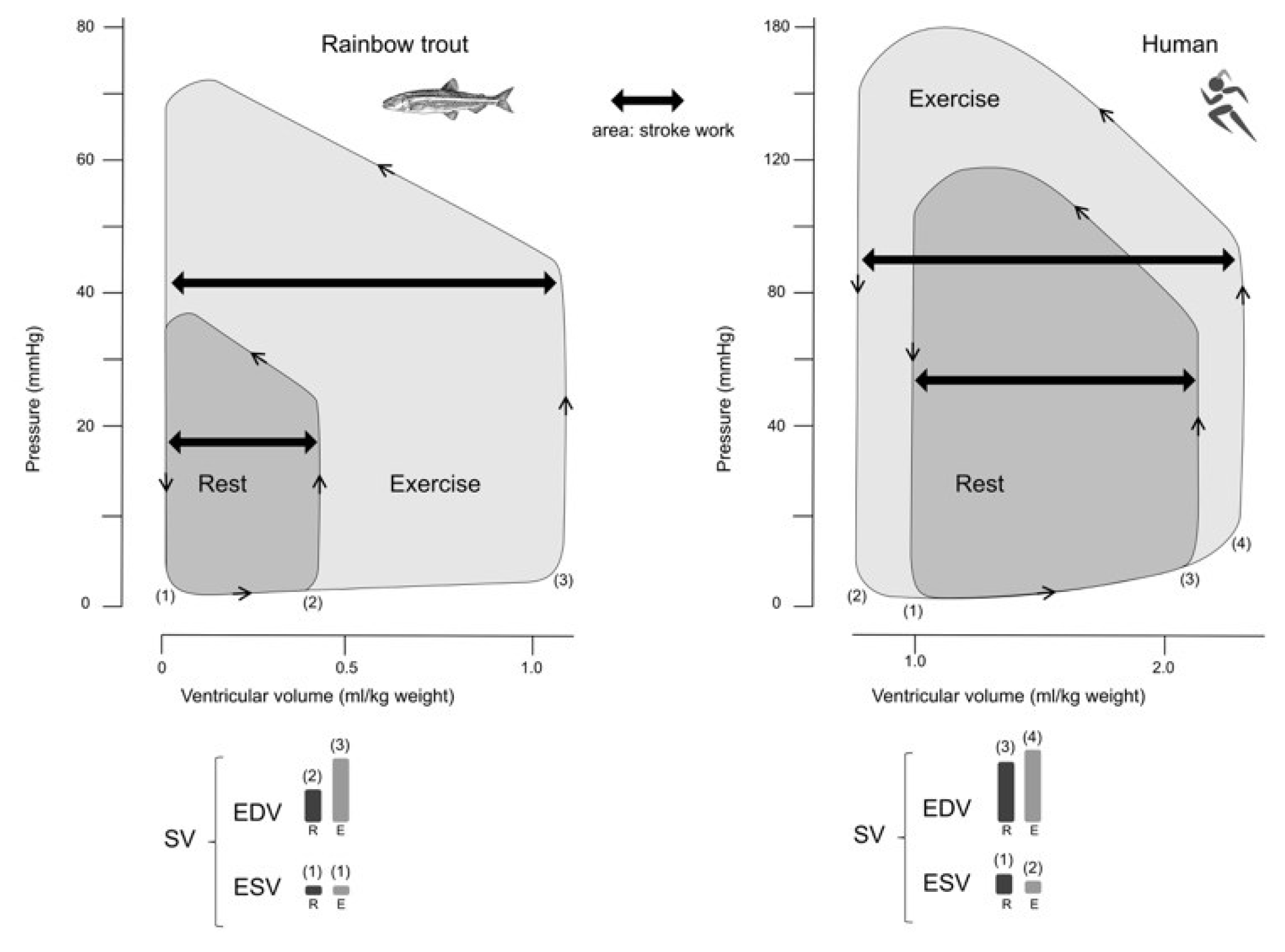 Preprints 96625 g004