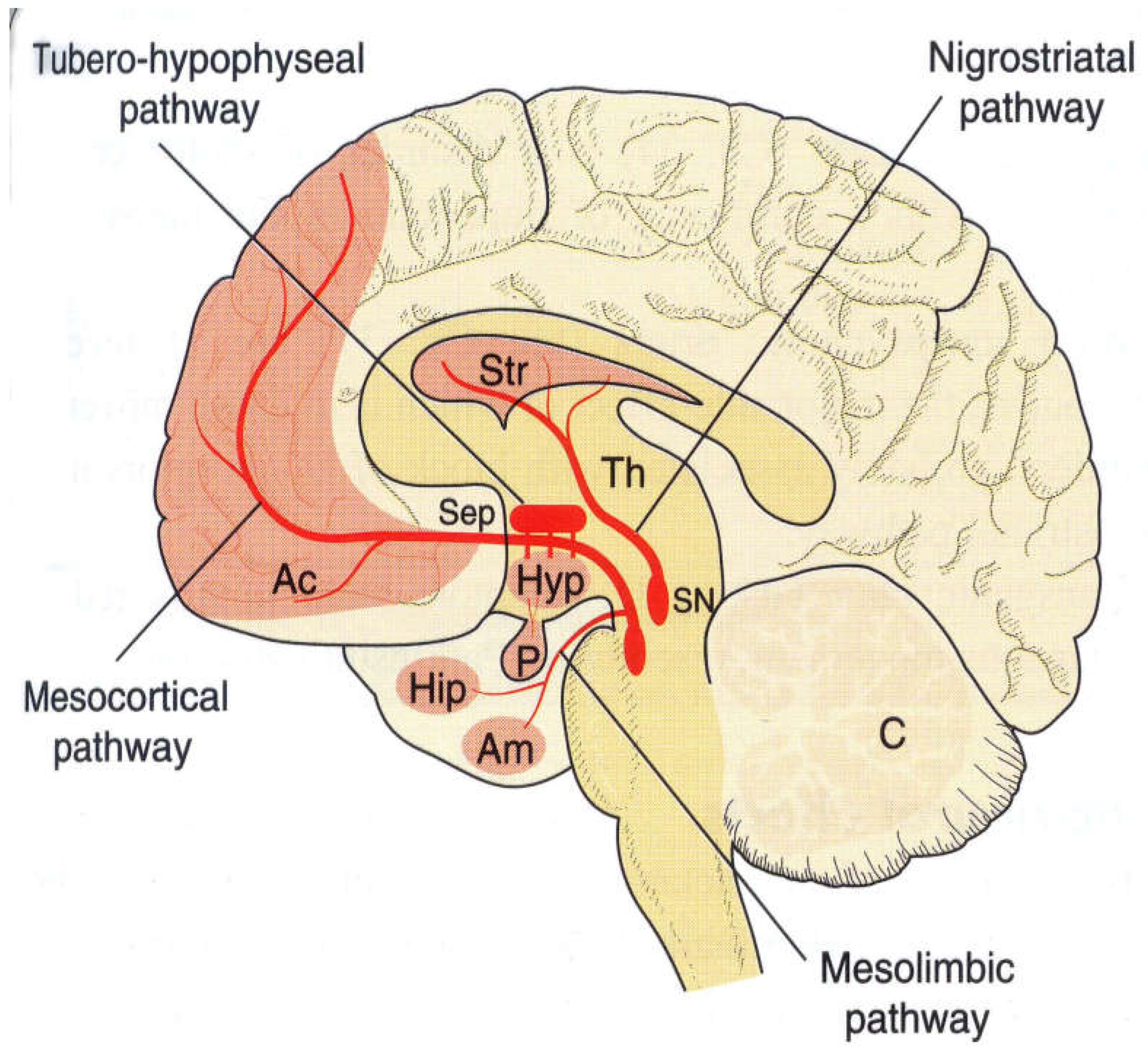 Preprints 105009 g002