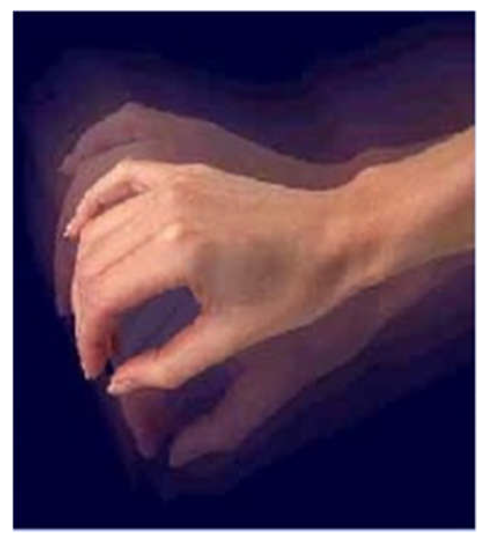 Preprints 105009 g003