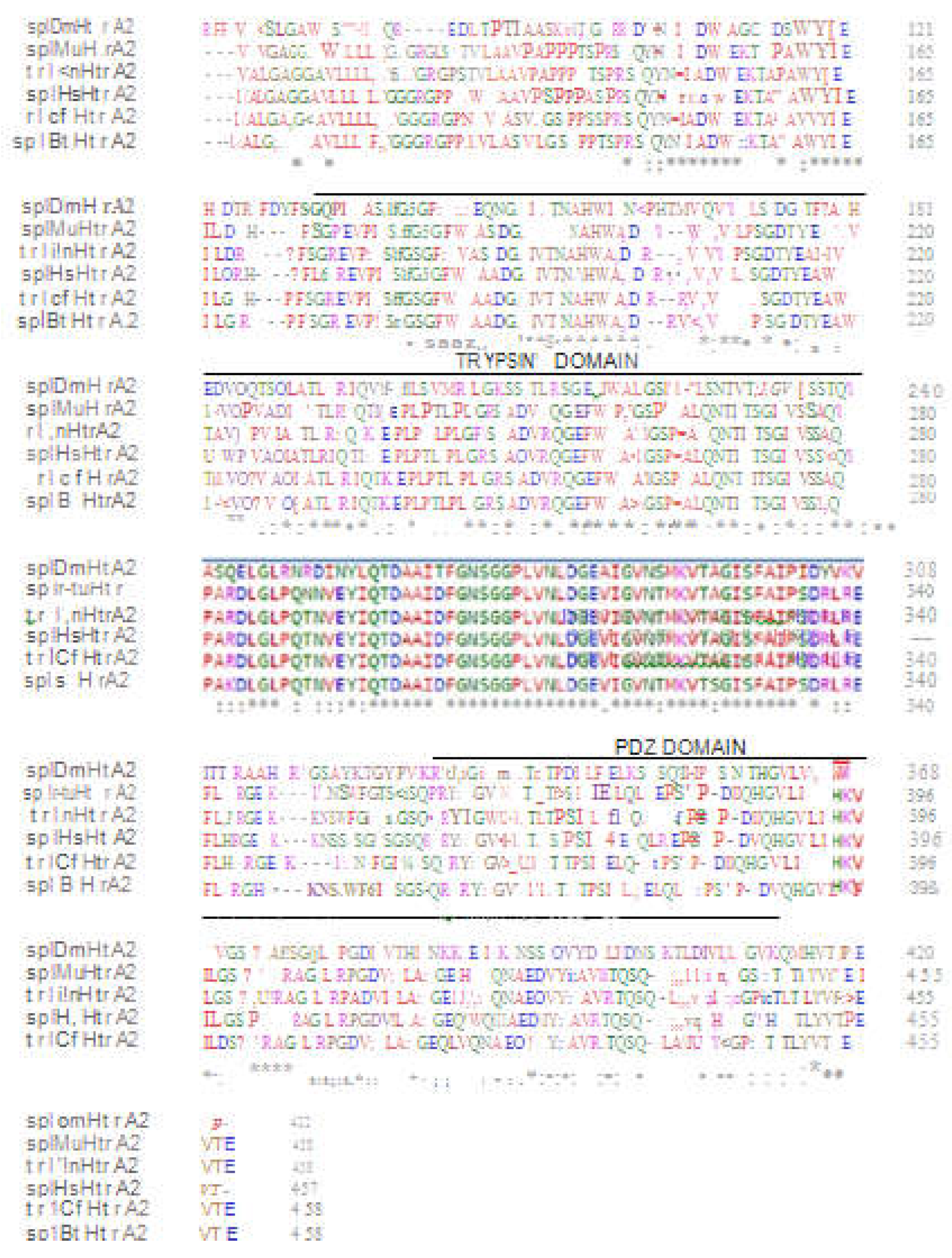 Preprints 105009 g004