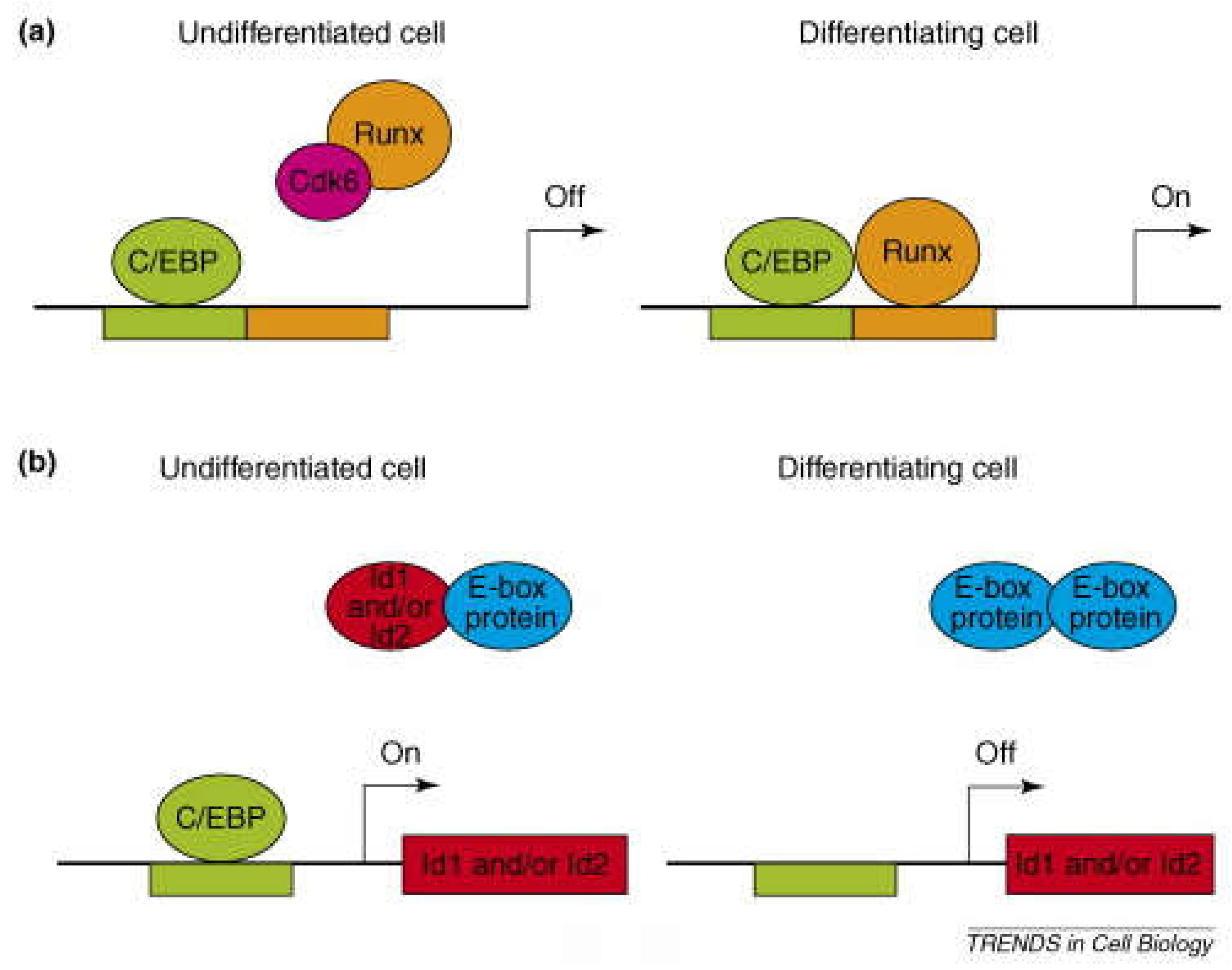 Preprints 105009 g005
