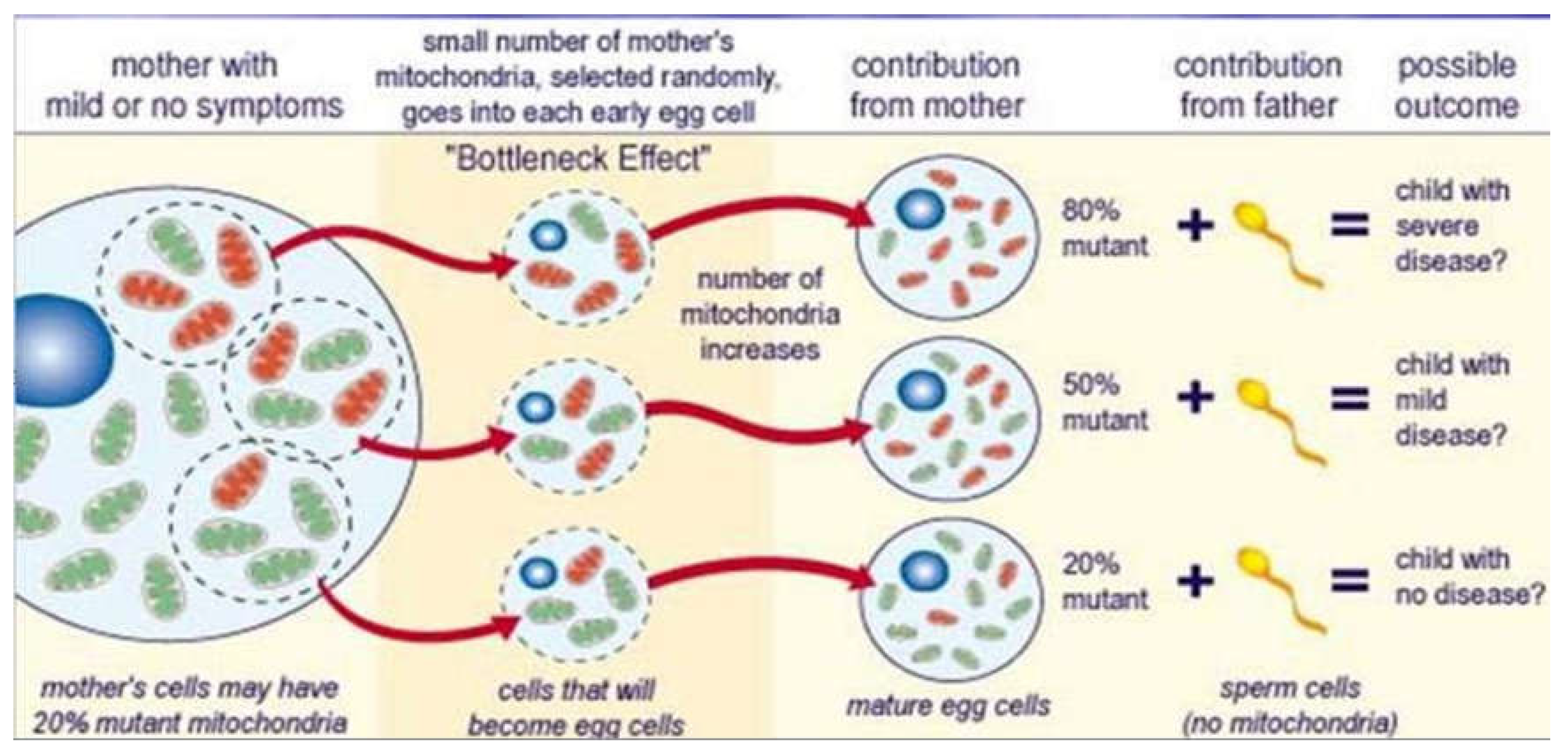 Preprints 105009 g007