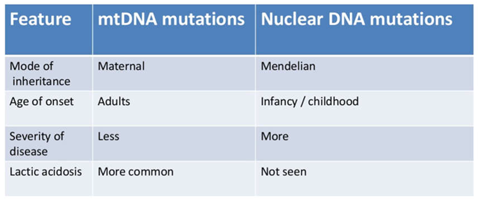 Preprints 105009 i001