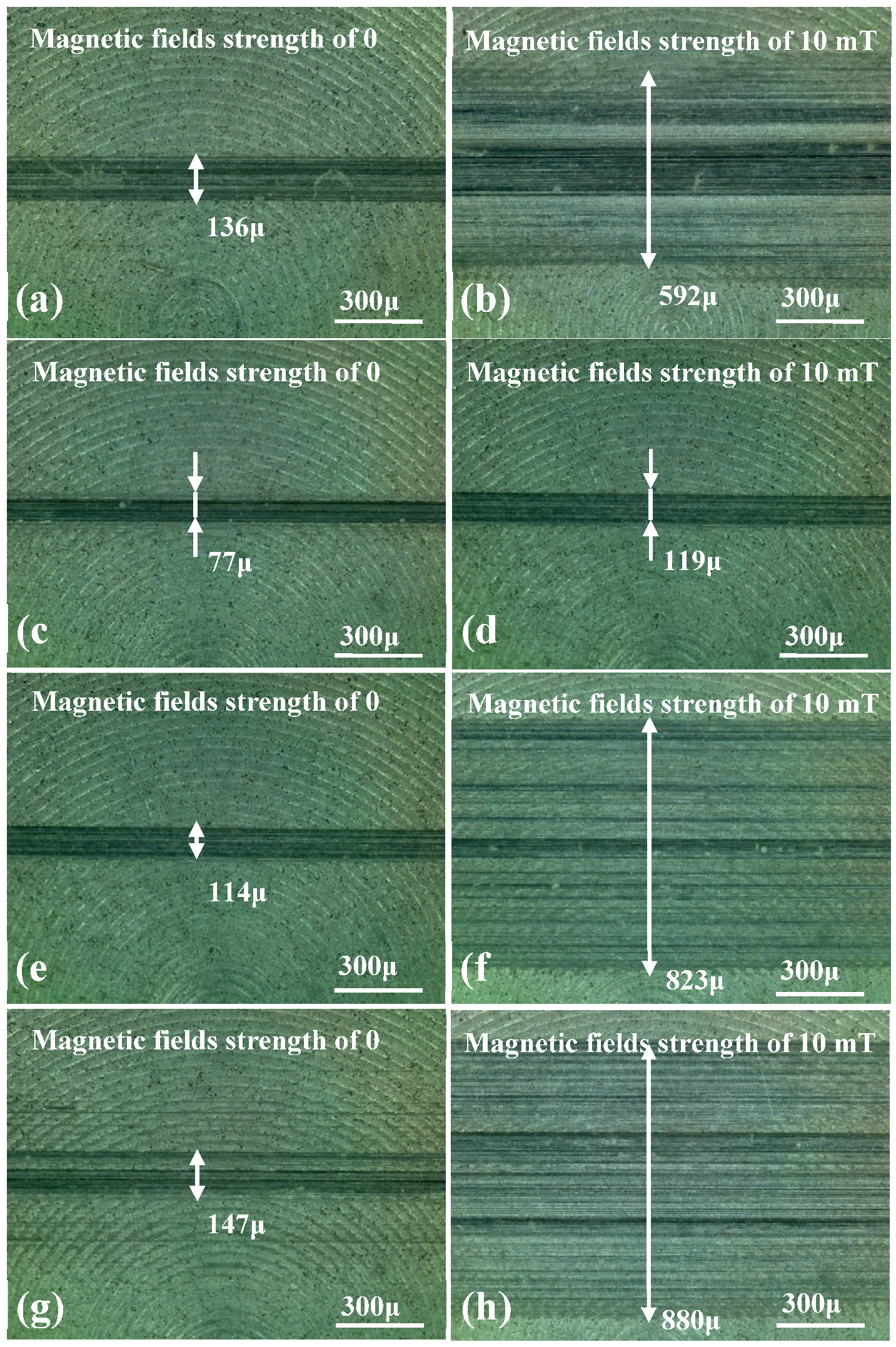 Preprints 96800 g008