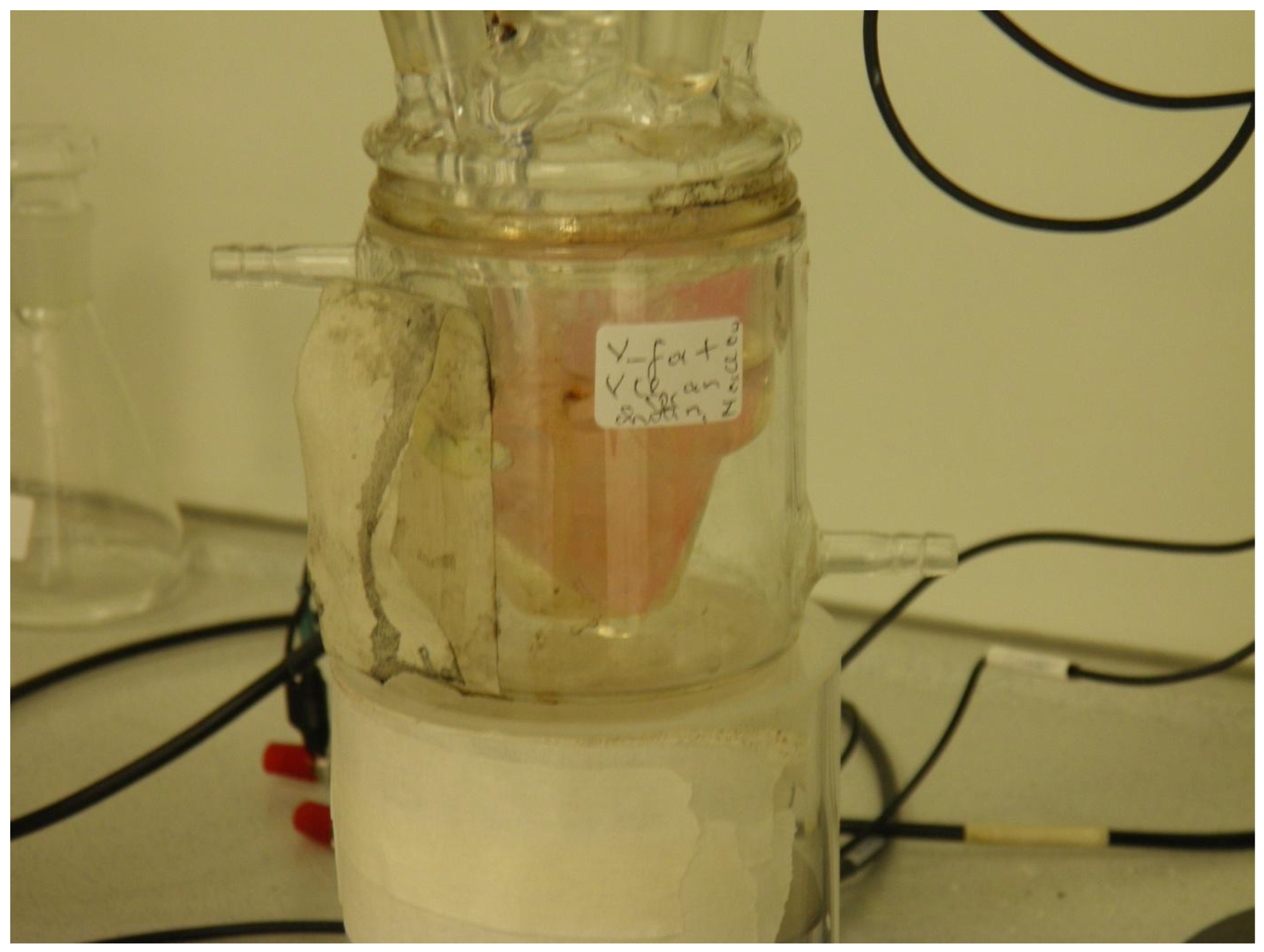 Preprints 166387 g002