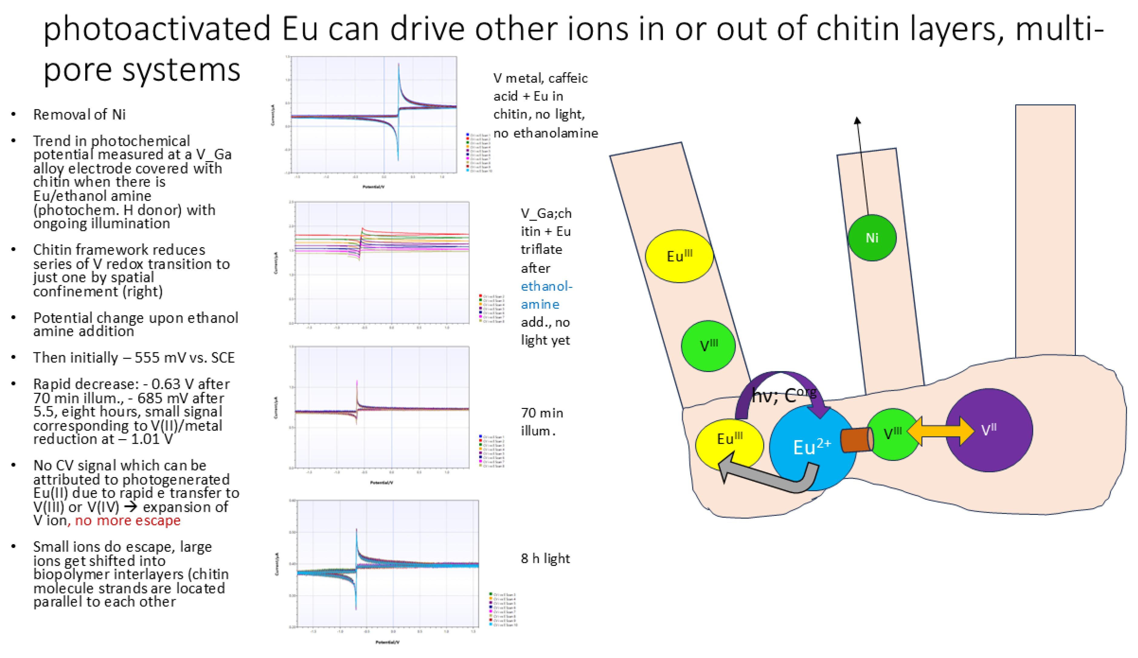 Preprints 166387 g009