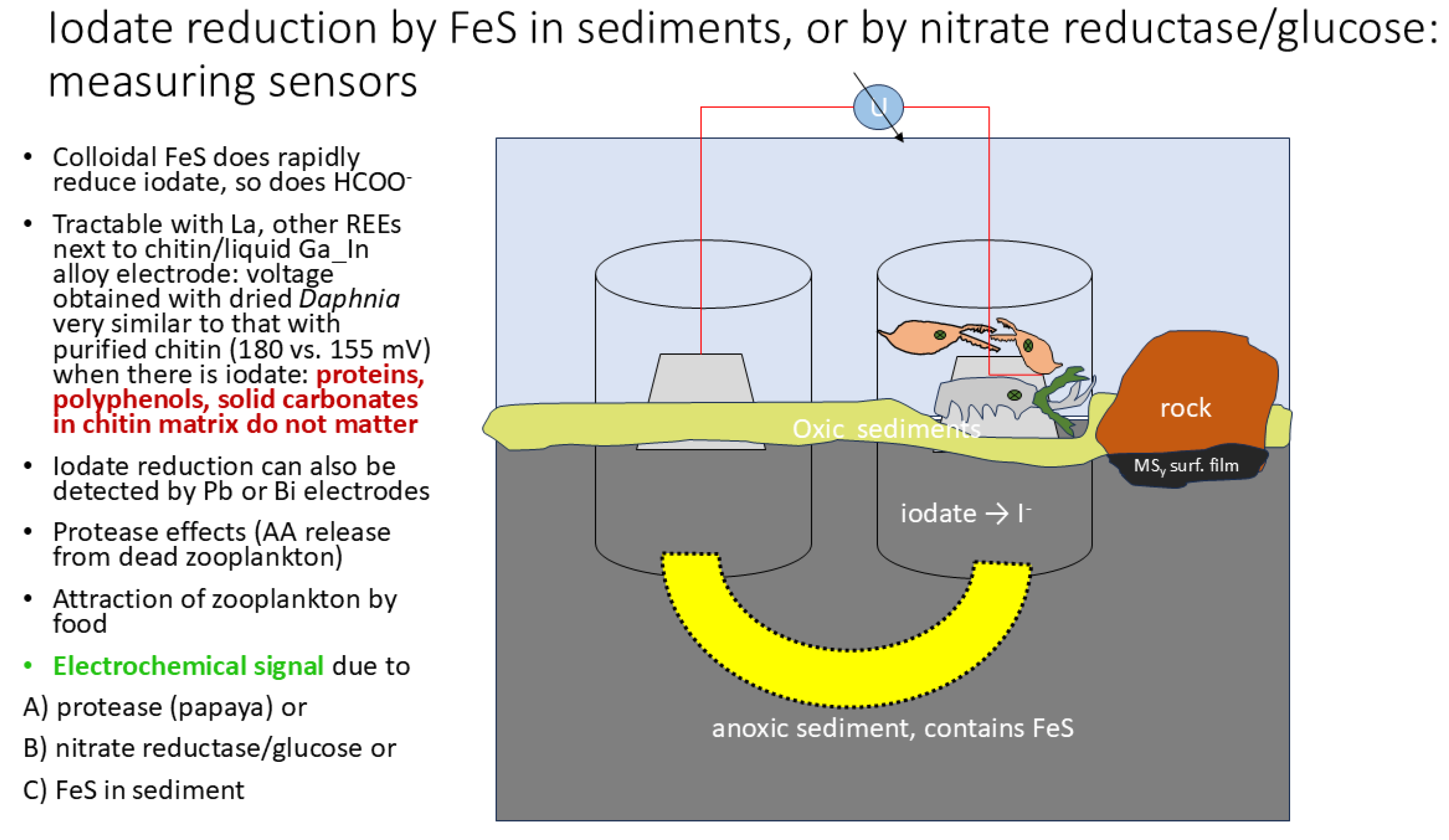 Preprints 166387 g015