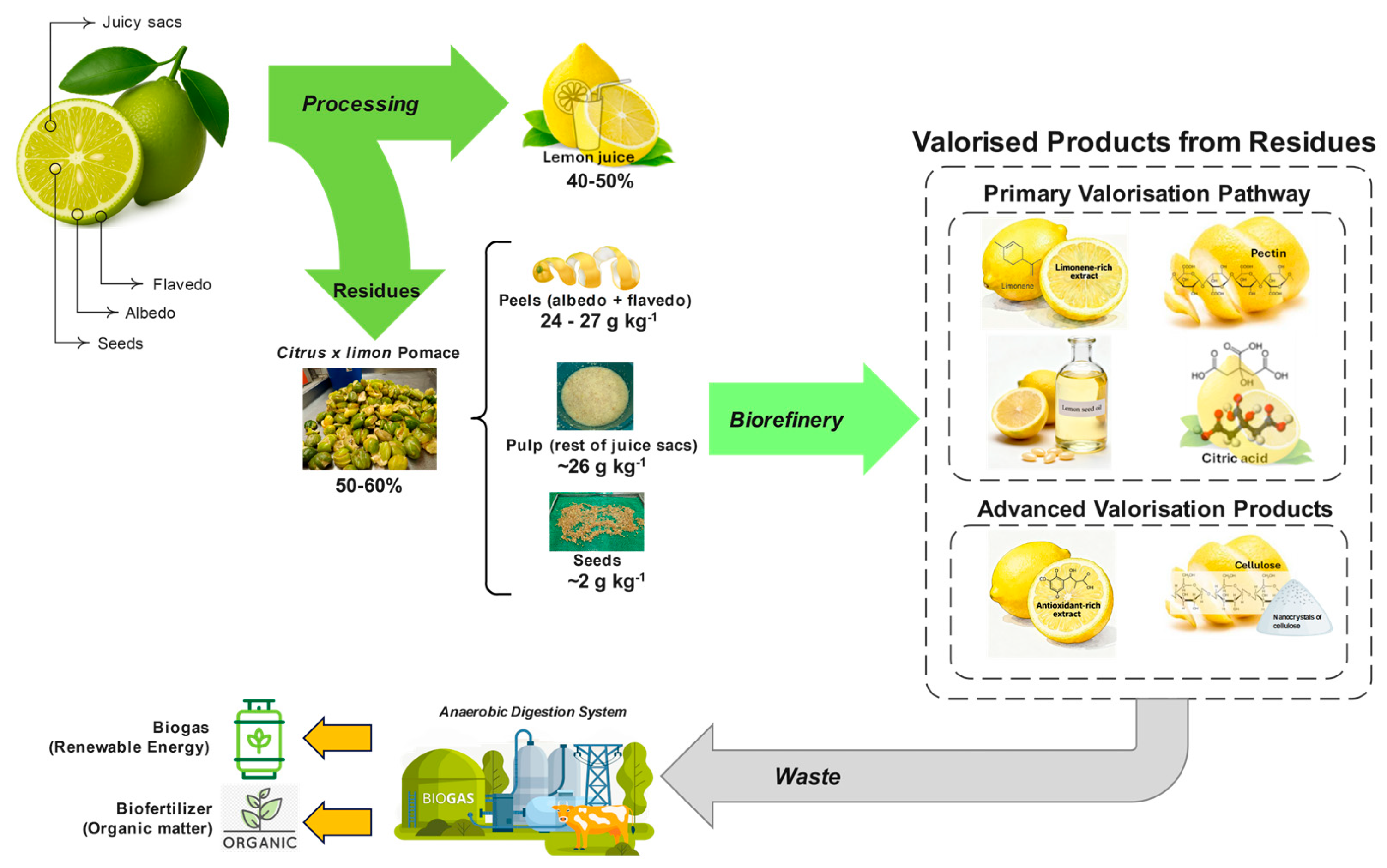 Preprints 198210 g003