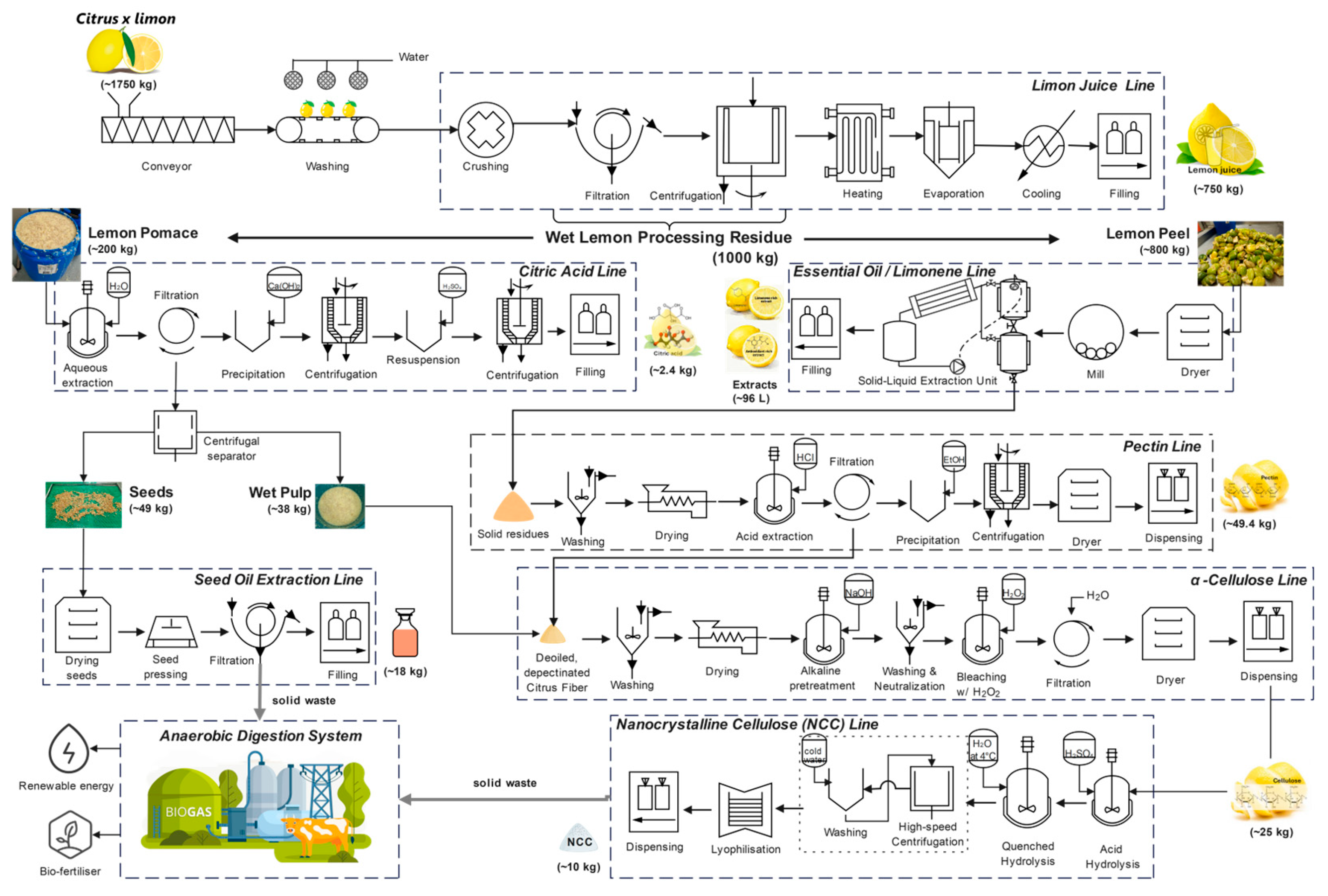 Preprints 198210 g004