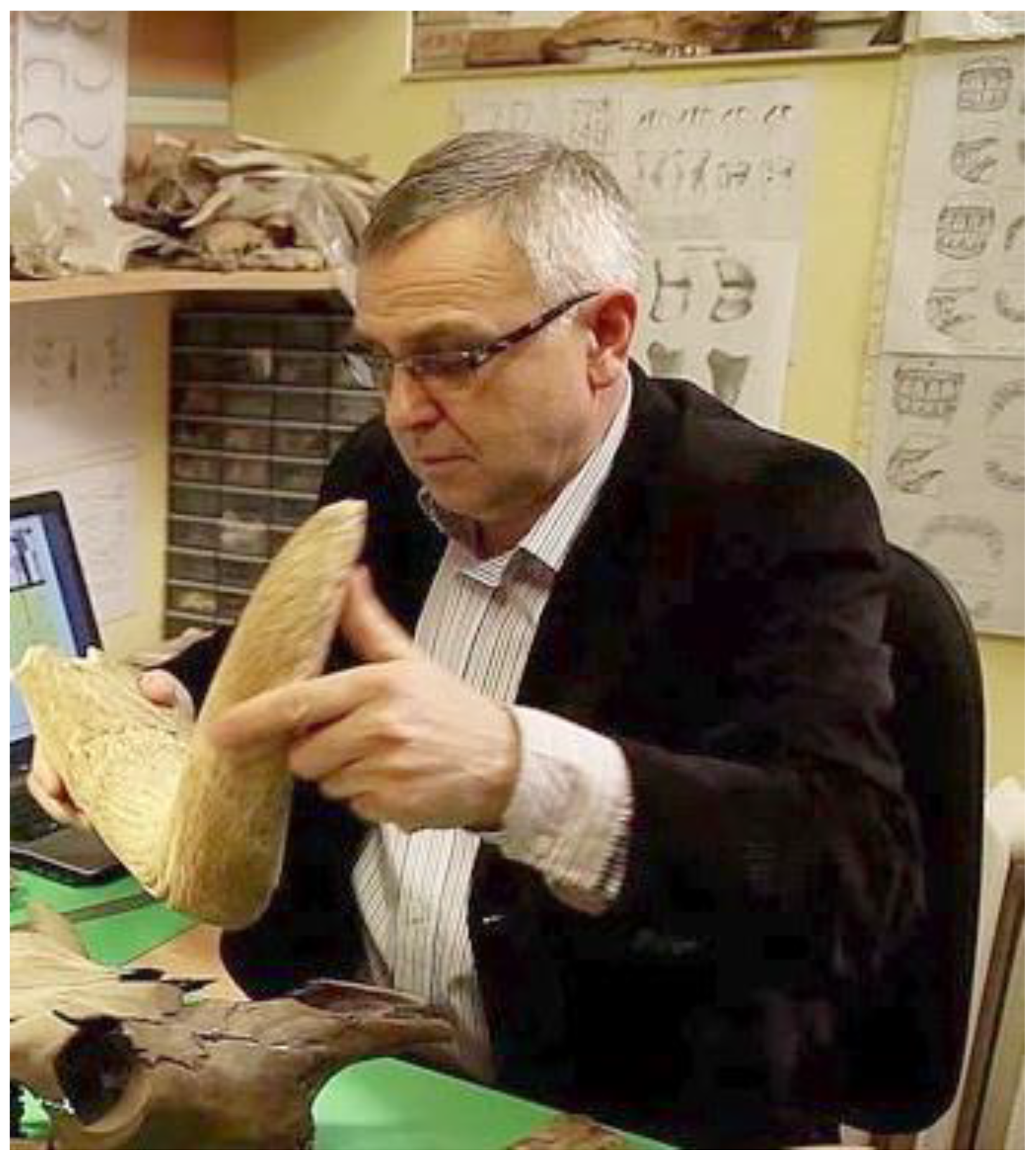 Preprints 181121 g001