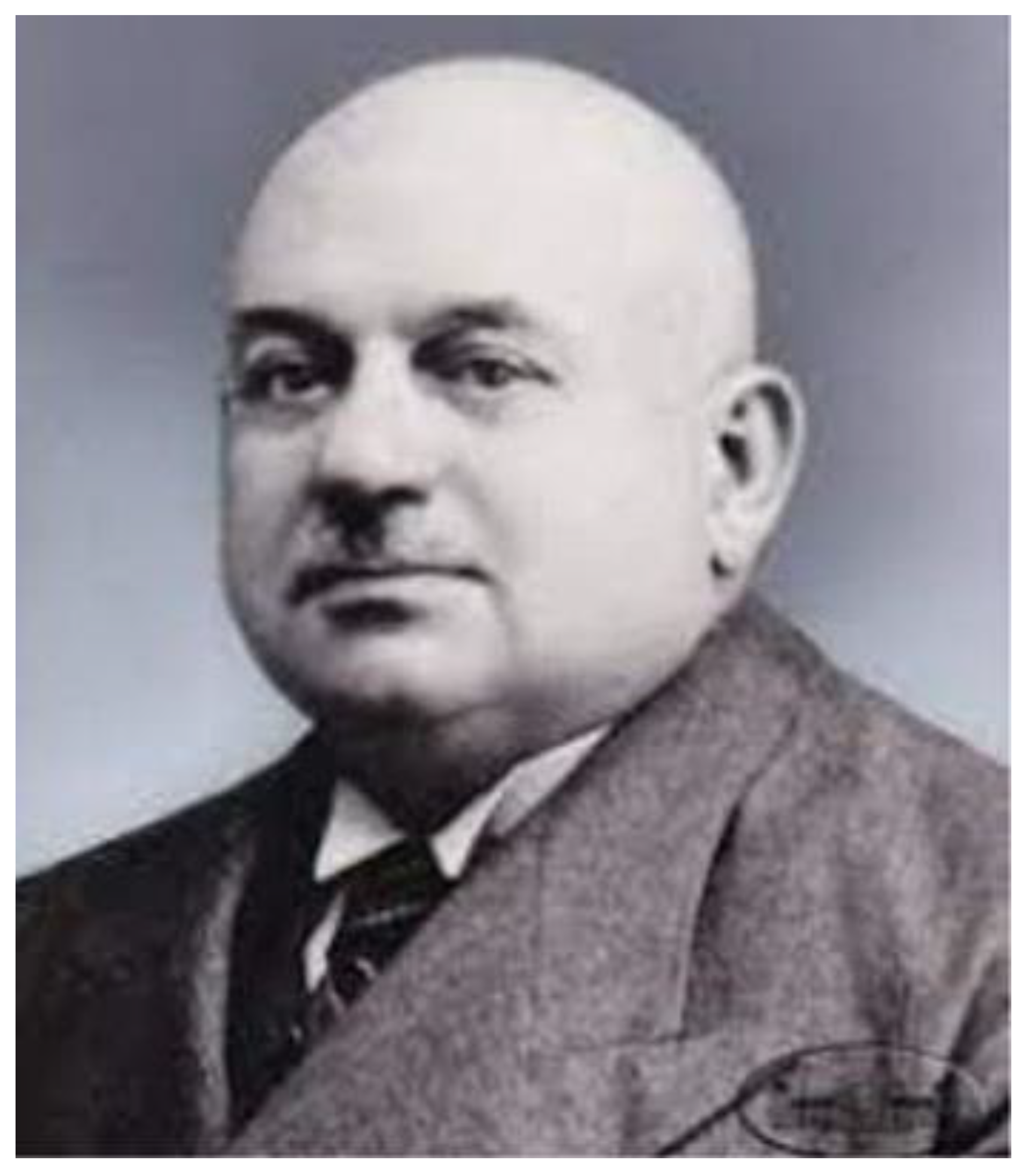 Preprints 181121 g009