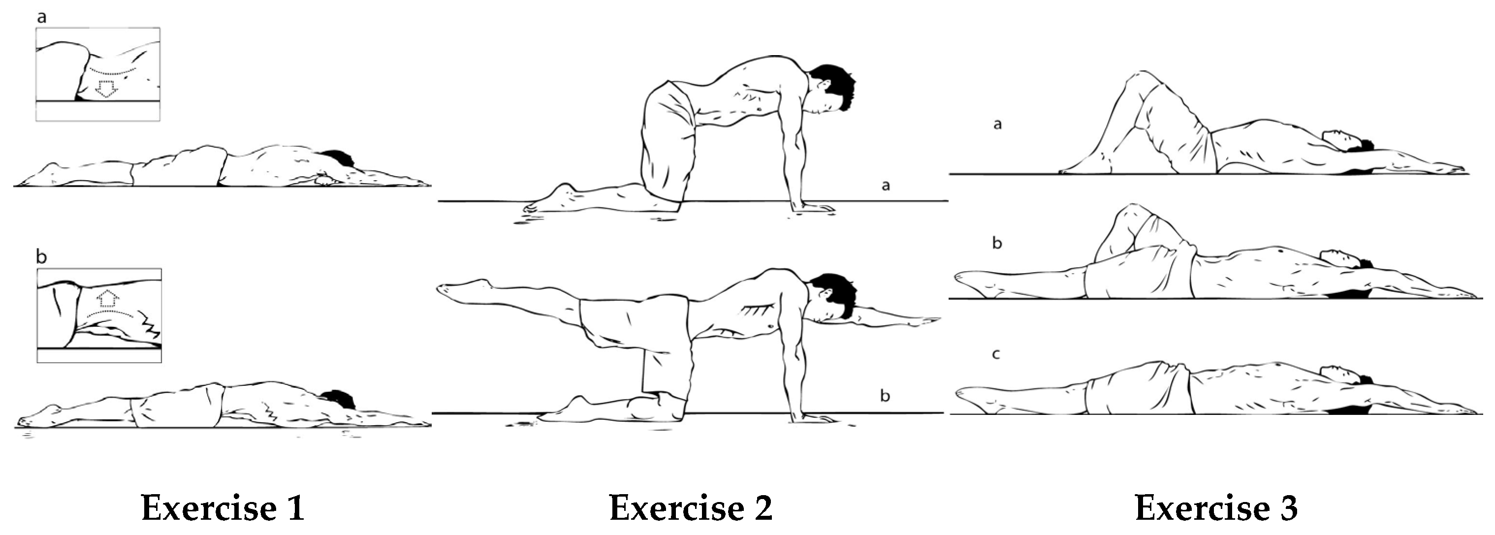Preprints 147109 g002