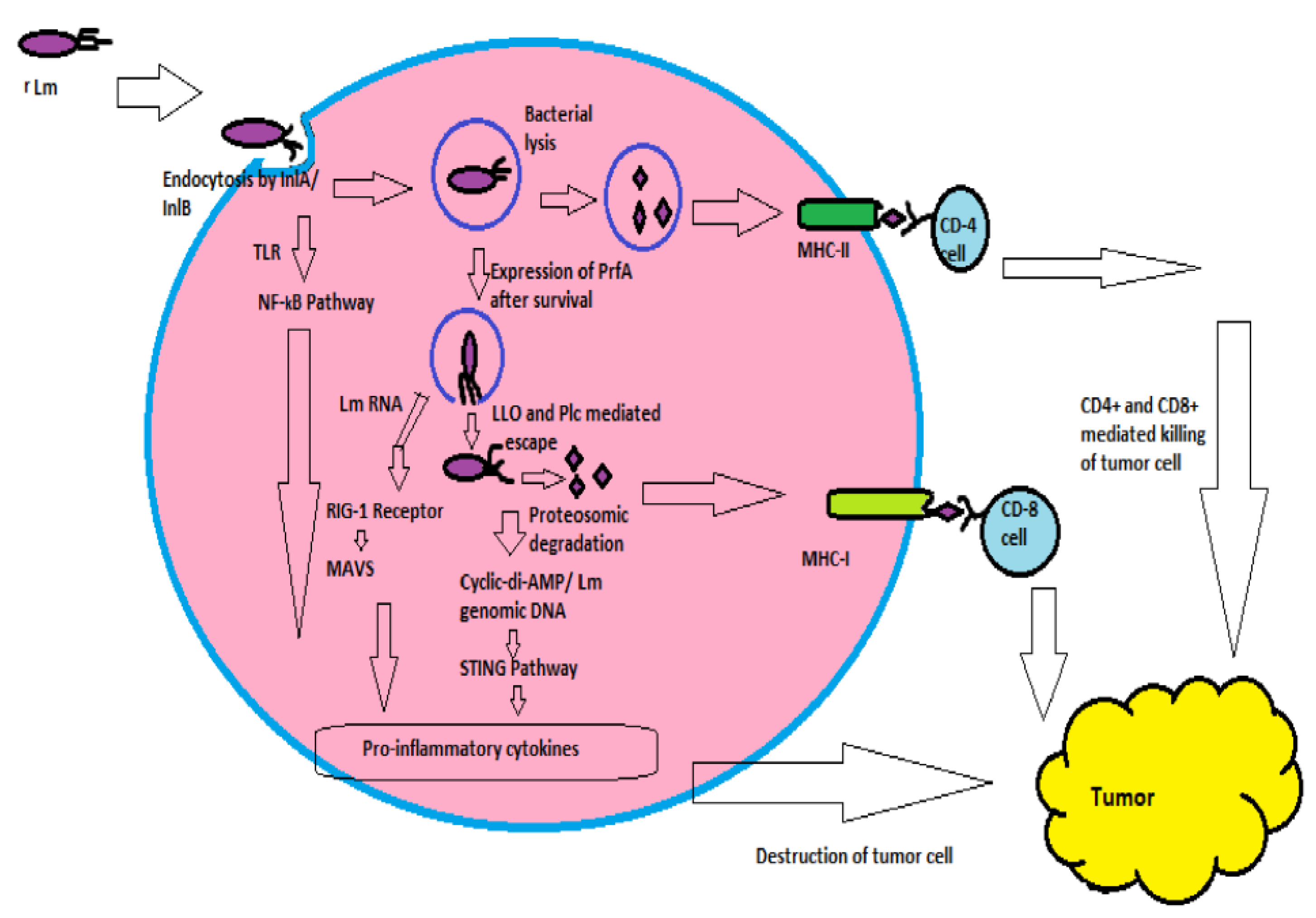 Preprints 186543 g001
