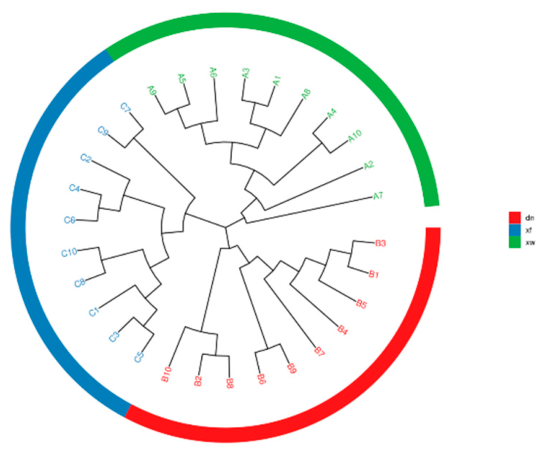 Preprints 208797 g001 Preprints 208797 g001