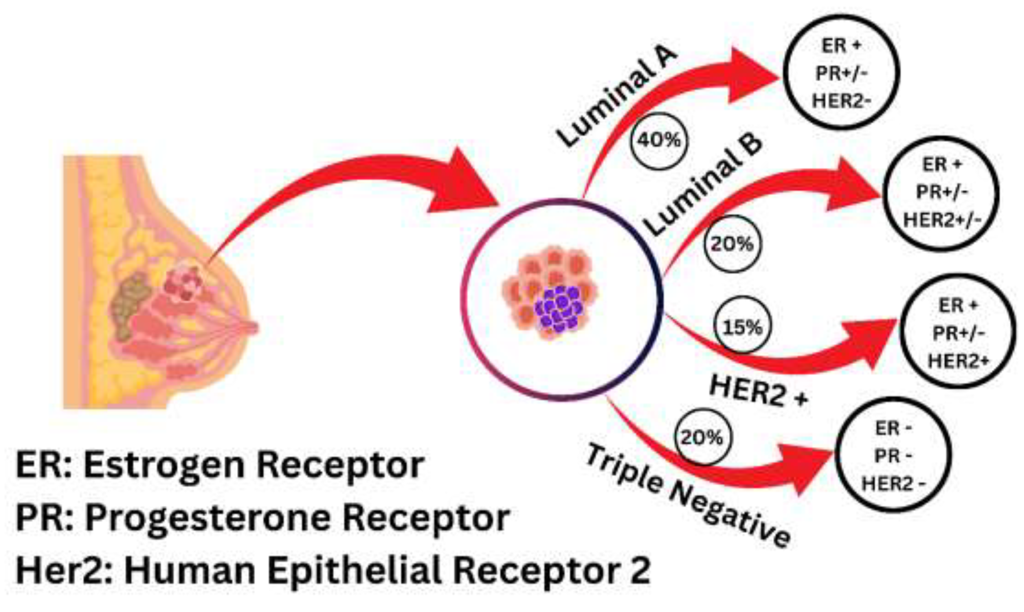 Preprints 201196 g003