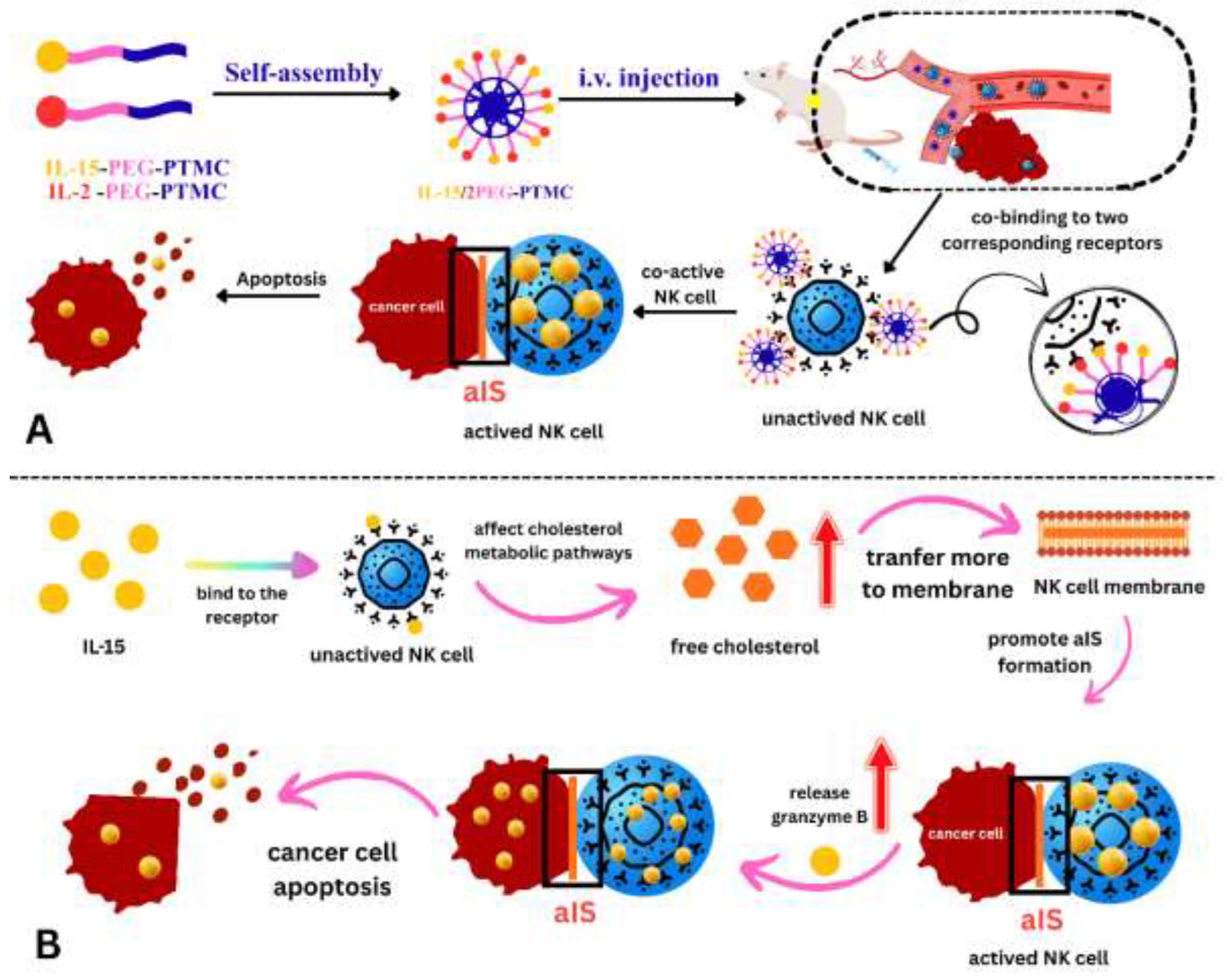 Preprints 201196 g008