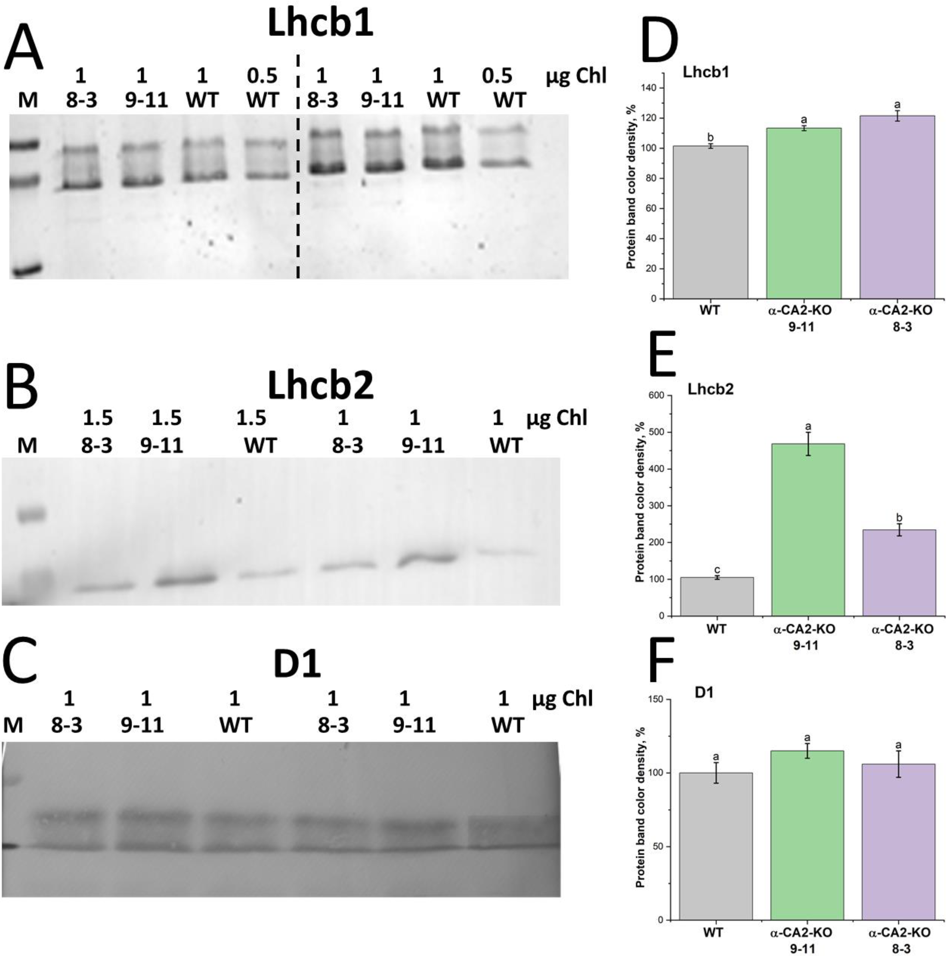 Preprints 159346 g002