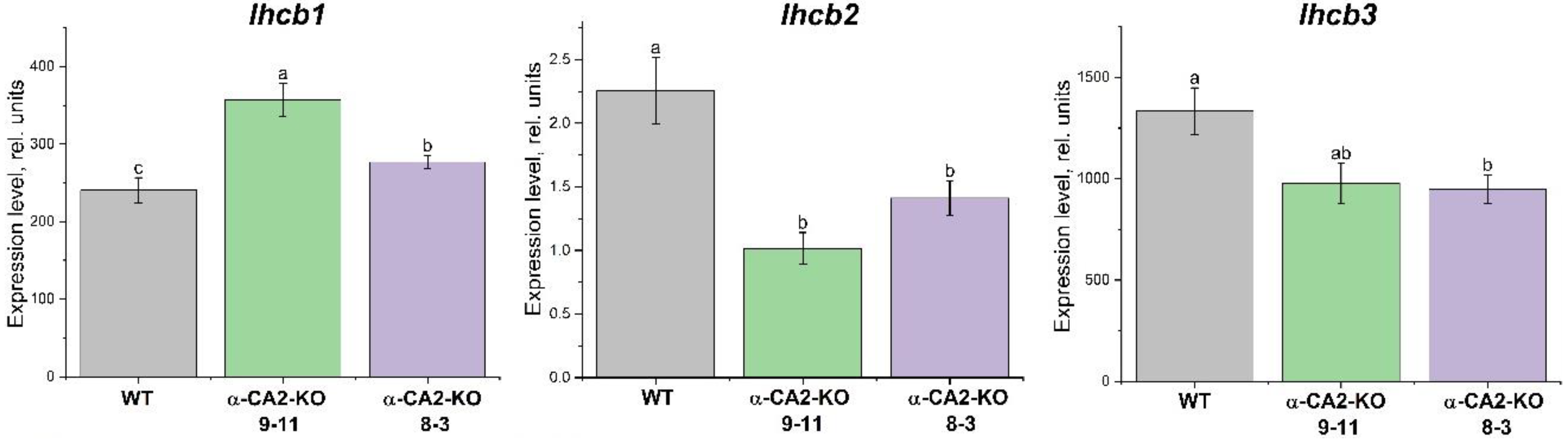 Preprints 159346 g003