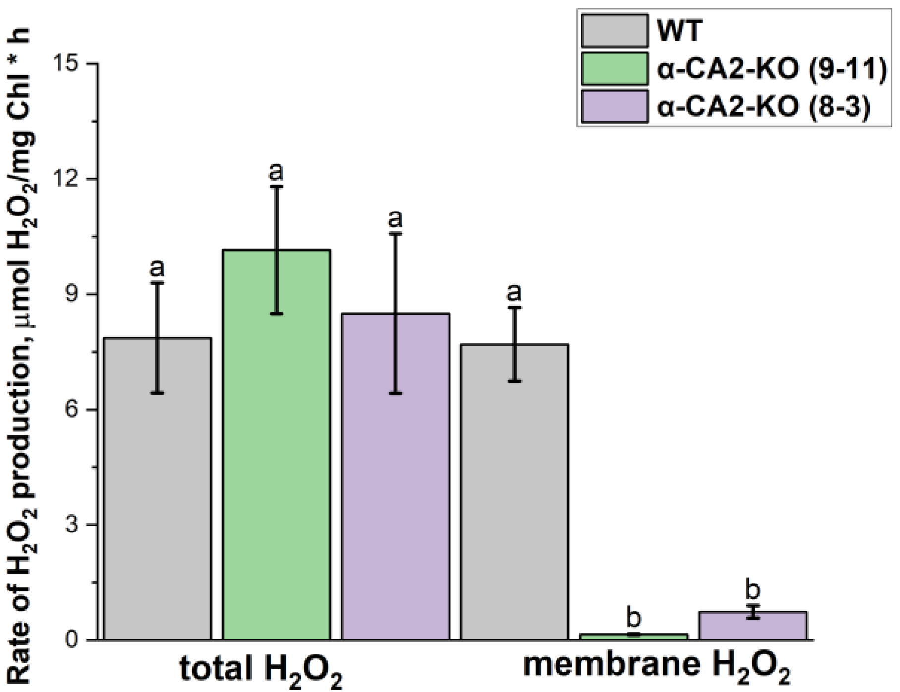 Preprints 159346 g005