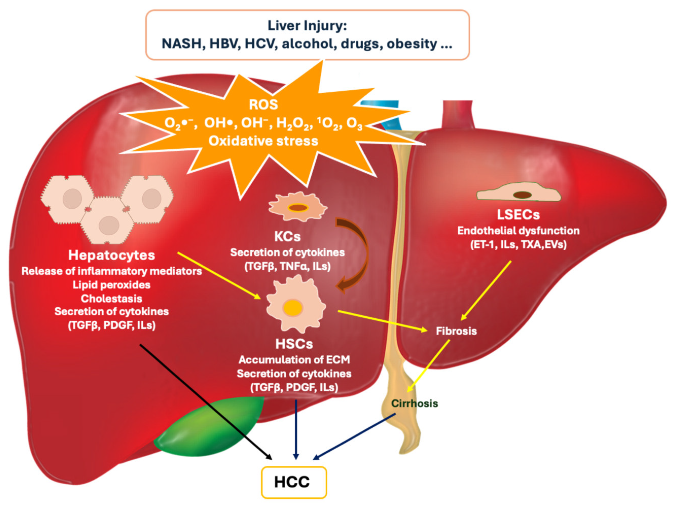 Preprints 113761 g001