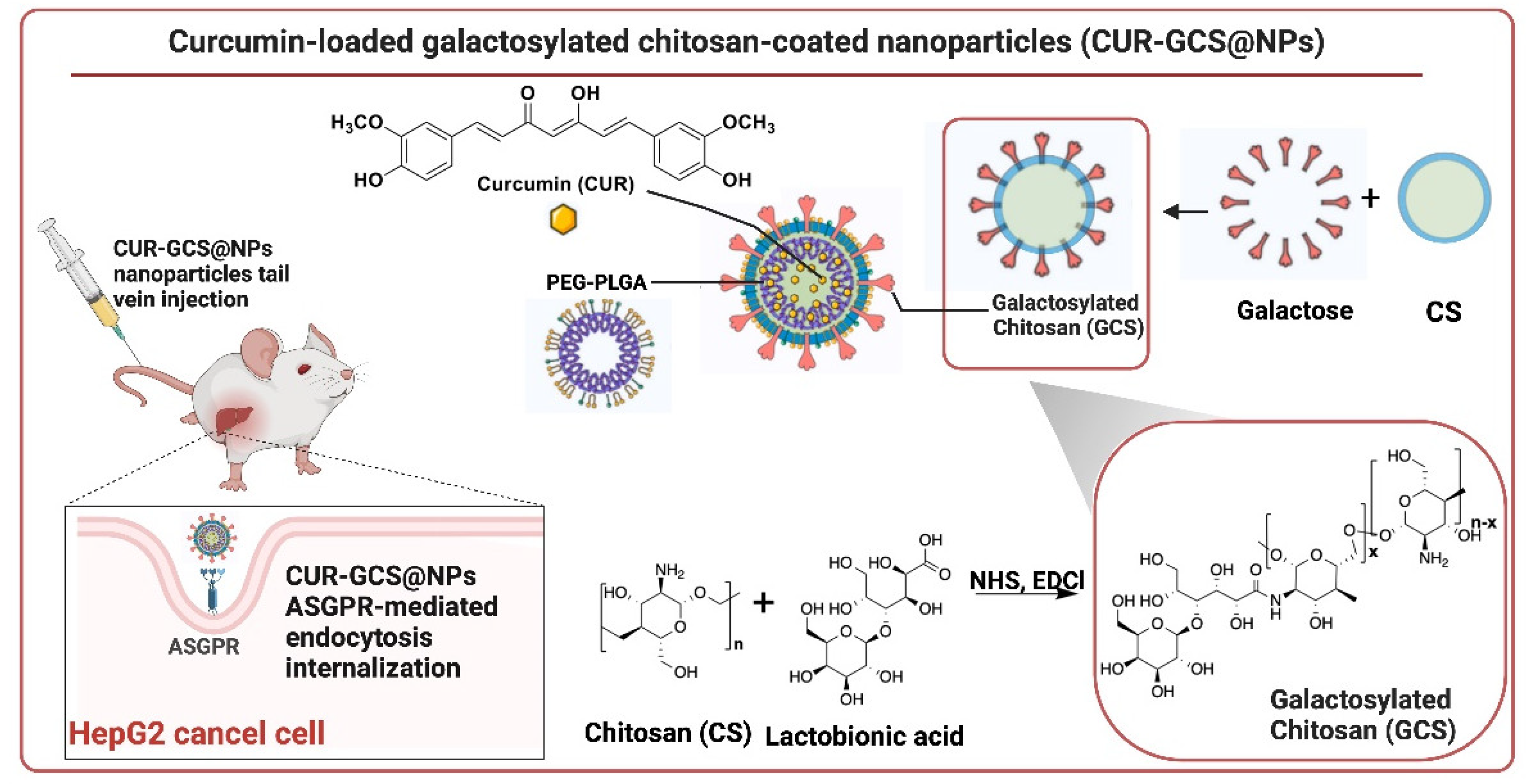 Preprints 113761 g003